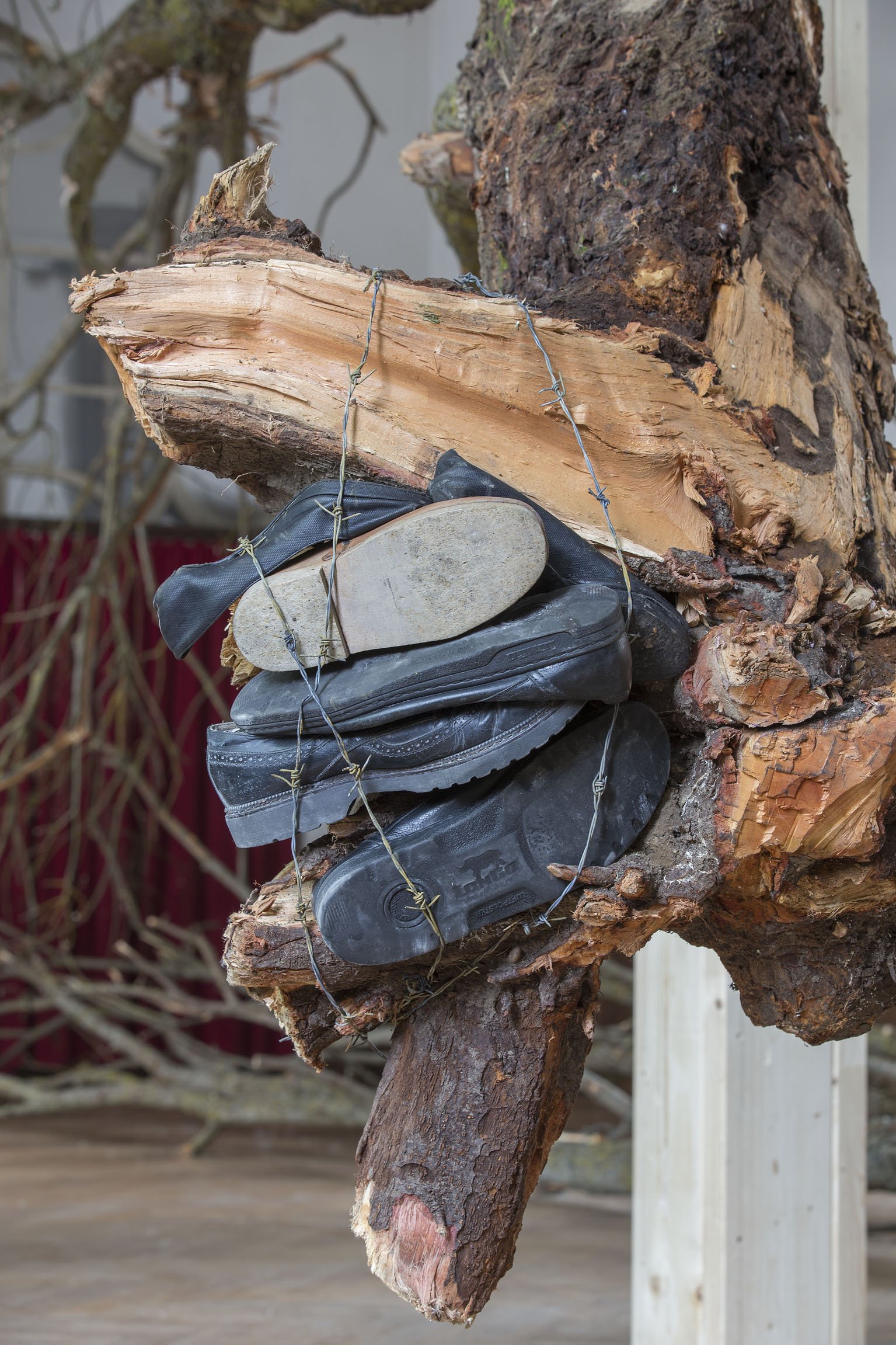 Nahaufnahme, Installation, Hängender Baum, Schuhe und Stacheldraht, Arbeit des zeitgenössischen Künstlers Eduard Winklhofer in Regensburg