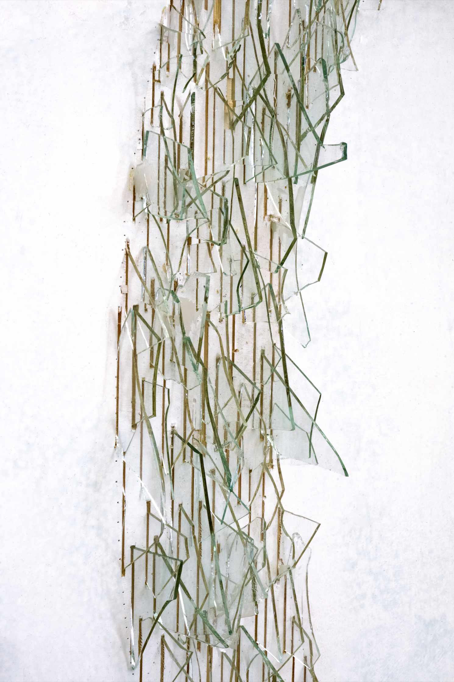 Echo, Detail, Glasscherben, Holz