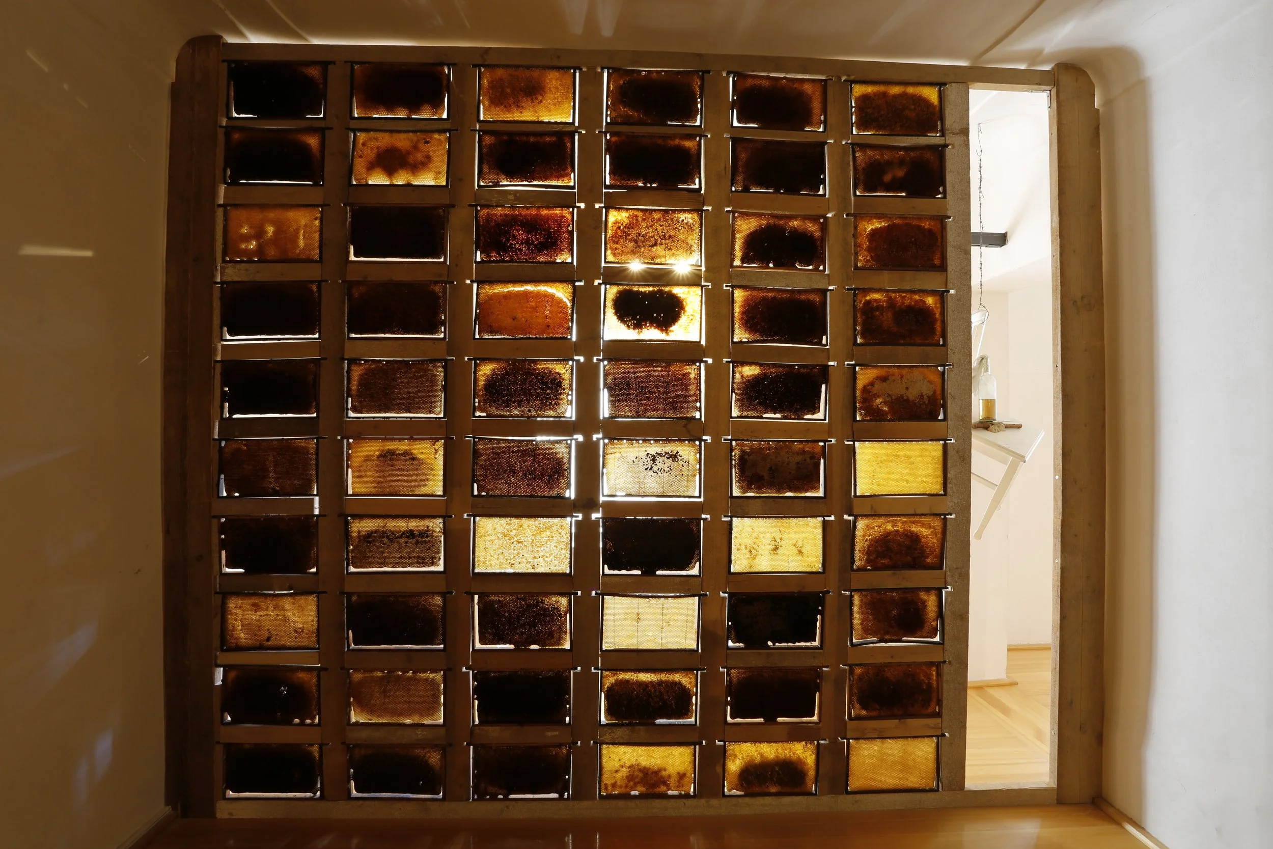 Kunstinstallation, Wand aus Bienenwaben, Kulturzentrum bei den Minoriten, Graz, Ausstellung des aktuellen Künstlers Eduard Winklhofer aus Düsseldorf 