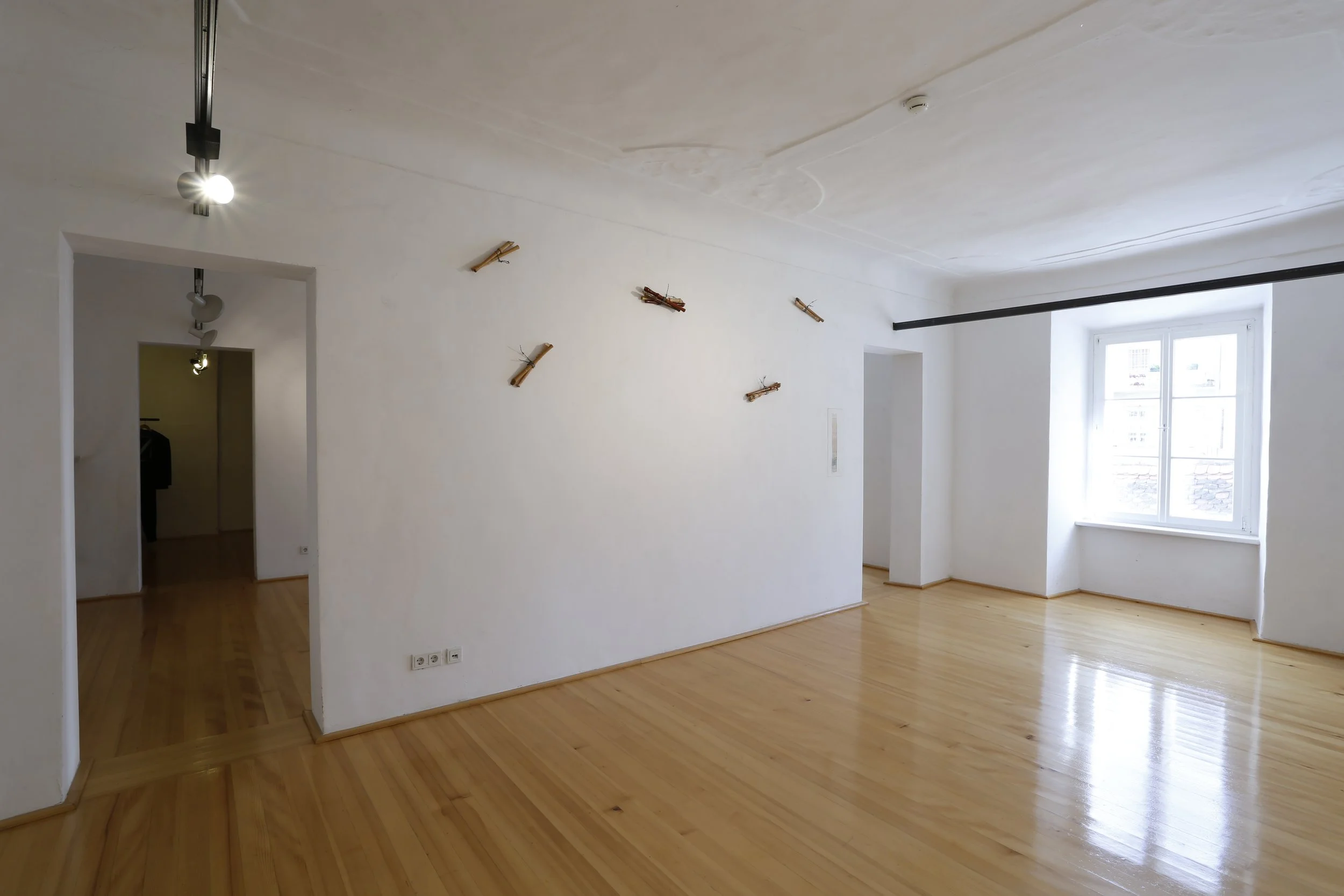 Kunstinstallation, Holzflöten und Stacheldraht,  Kulturzentrum bei den Minoriten, Graz, Ausstellung des aktuellen Künstlers Eduard Winklhofer aus Düsseldorf 