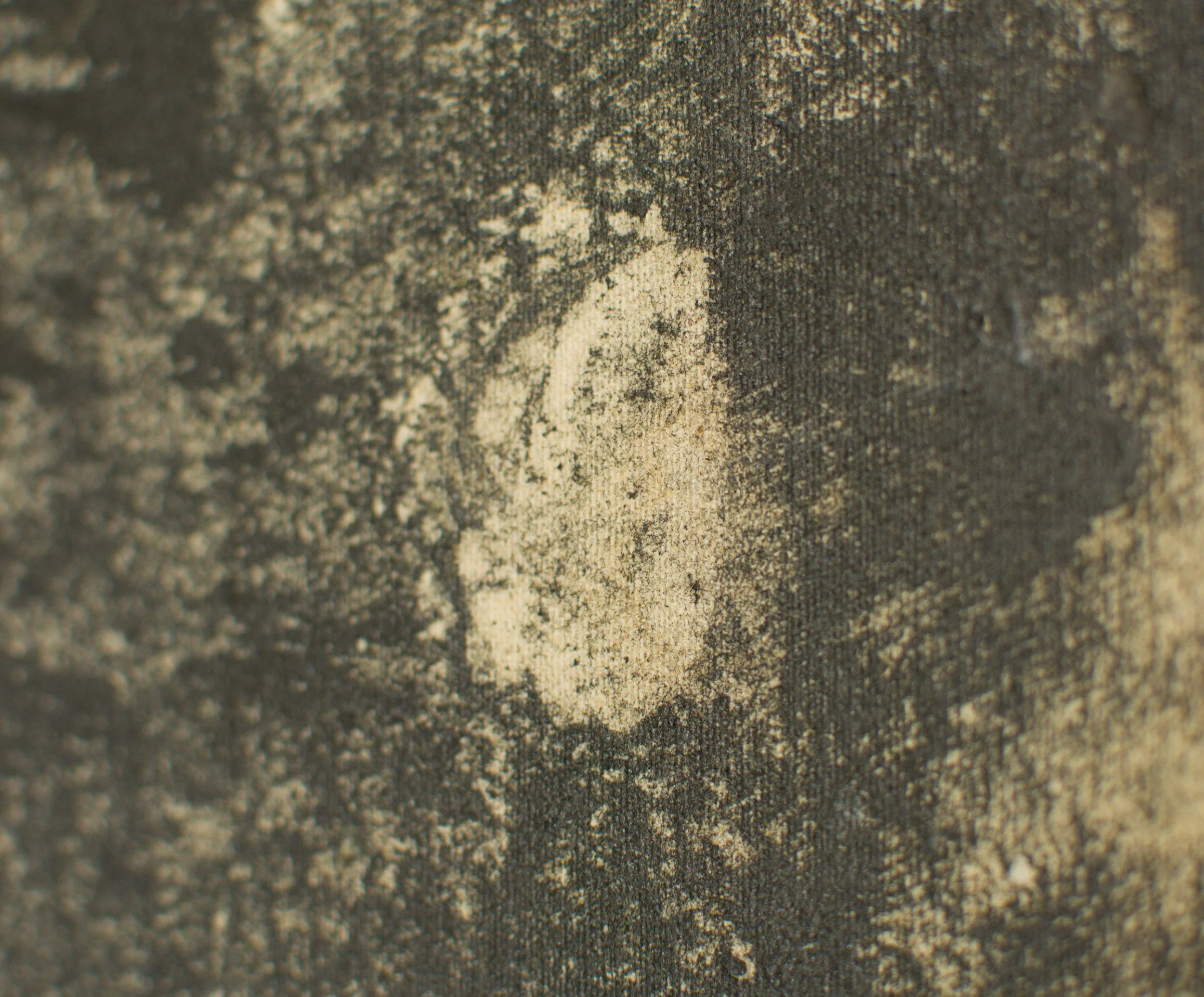 	
Nahaufnahme, Aktuelle Kunst, 100 x 120cm, Graphit Schellack auf Leinwand von zeitgenössischem Düsseldorfer Künstler Eduard Winklhofer, Atelier Düsseldorf