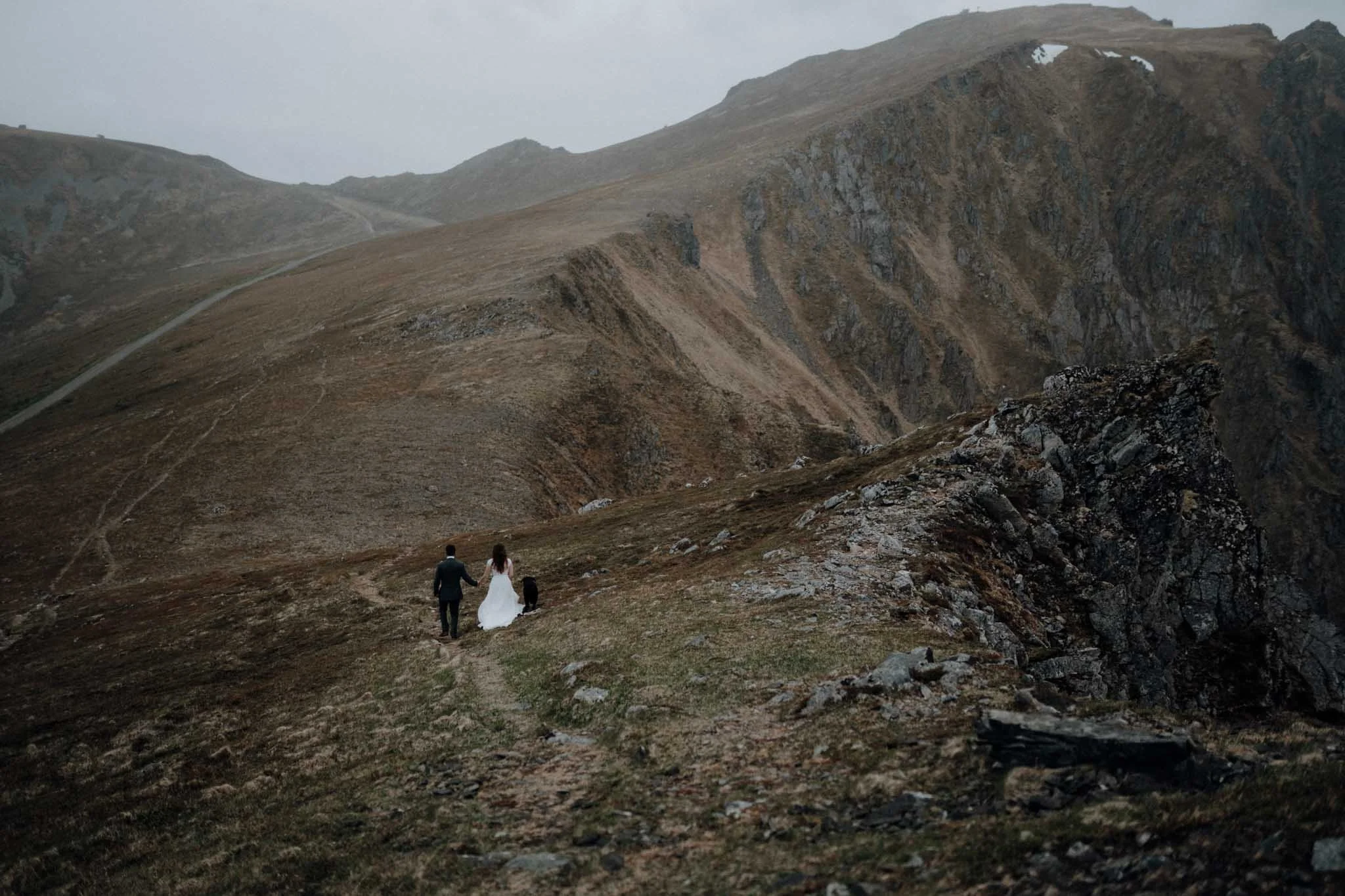 Brudepar løper i åsene oppe på fjellet. Spektakulær utsikt og hunden er med. Brudebilder med hund. 