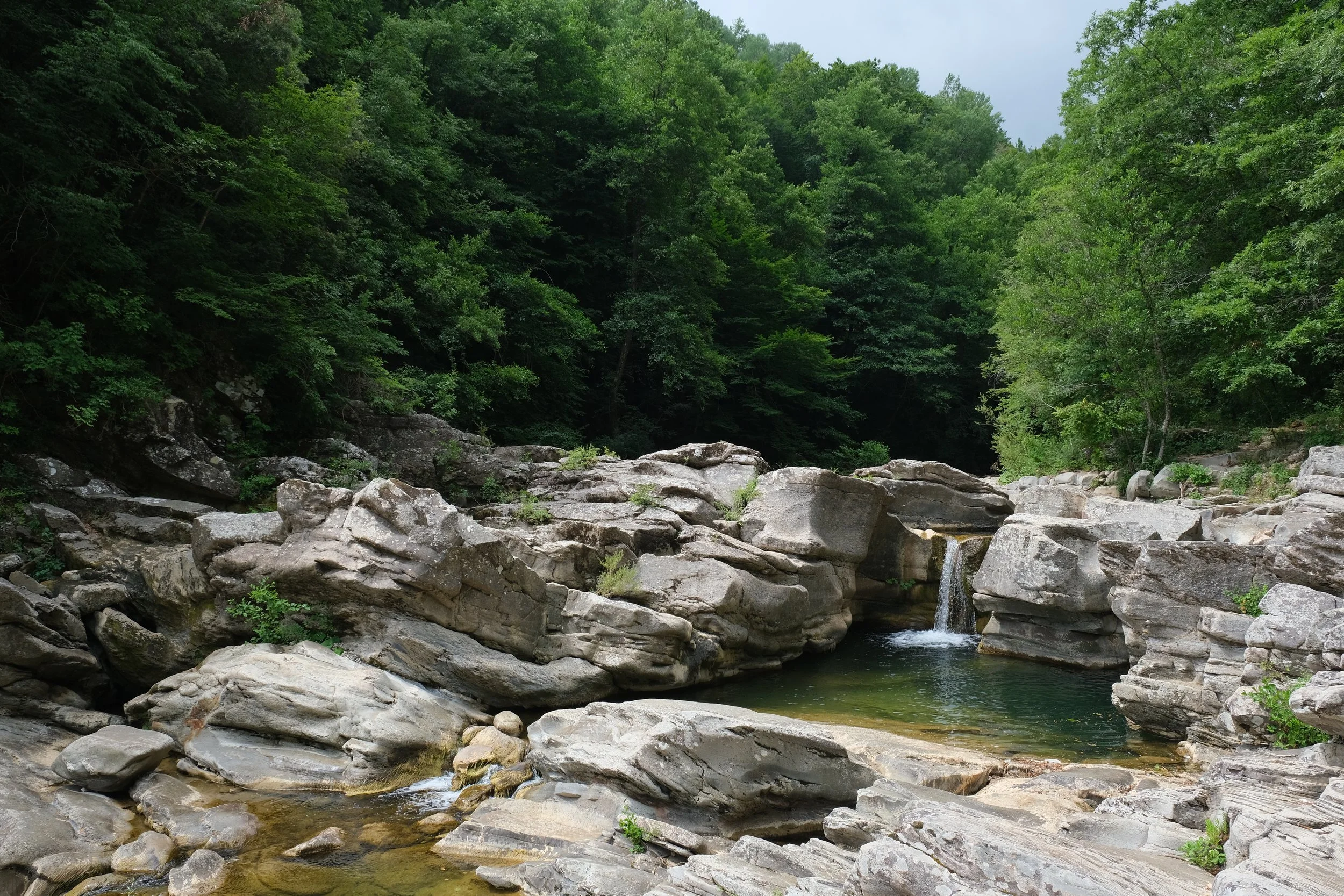 This Beautiful Country