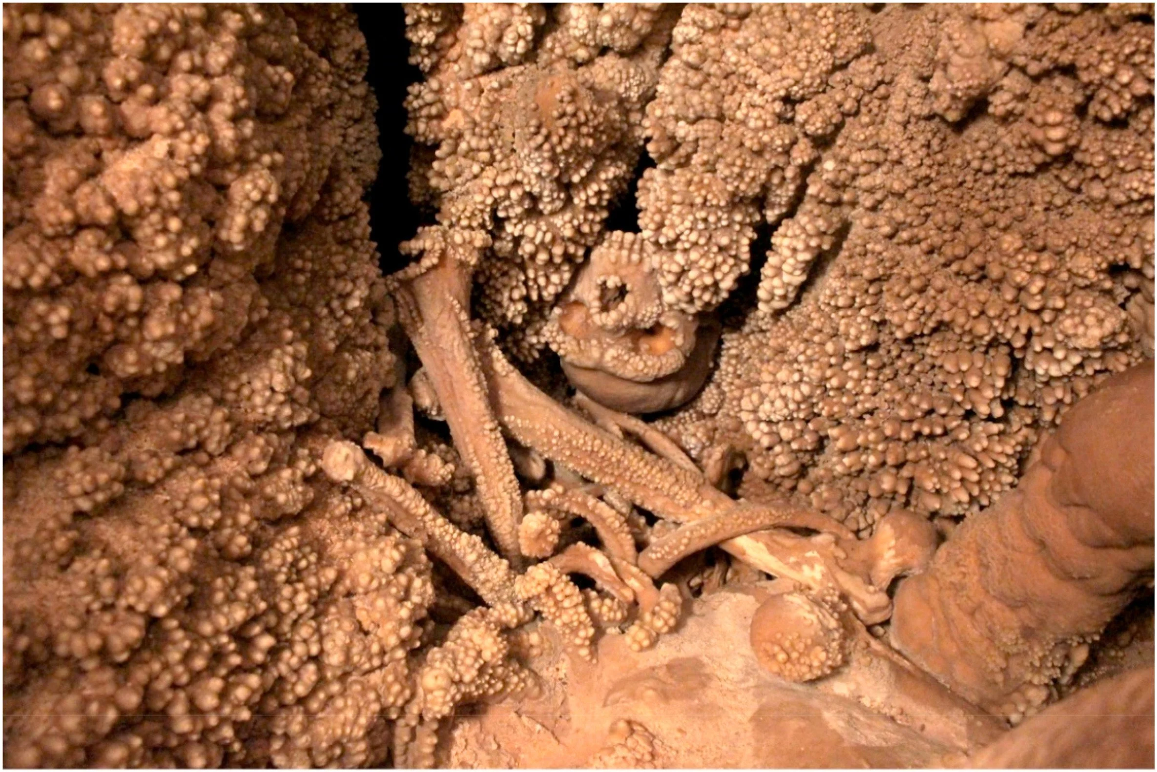 Altamura man, photo by costantino buzzi