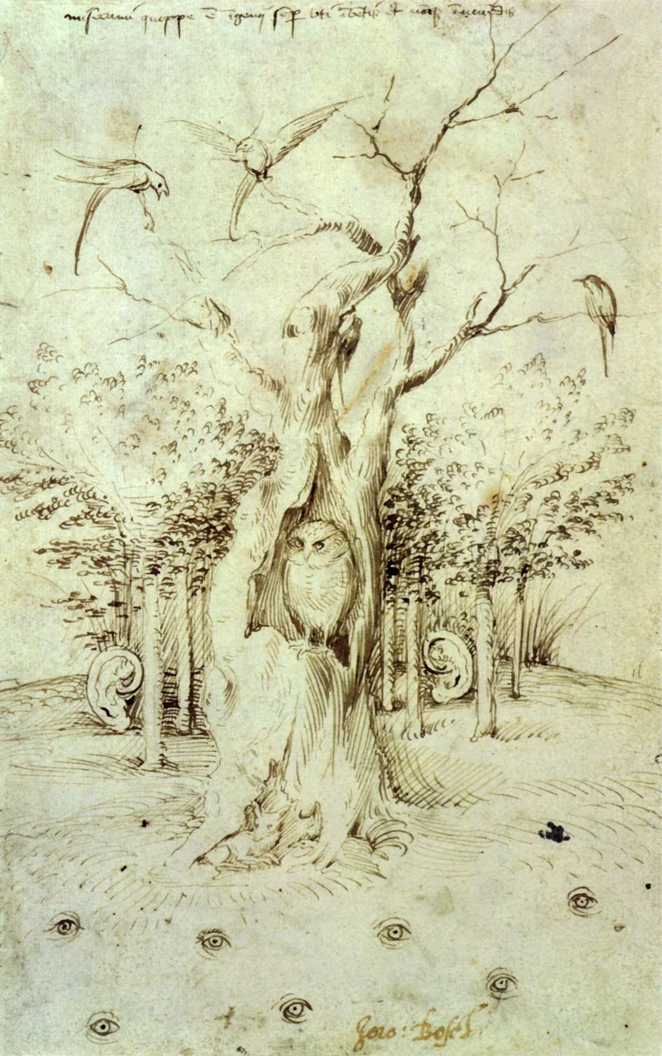 A Macchia d'Olio