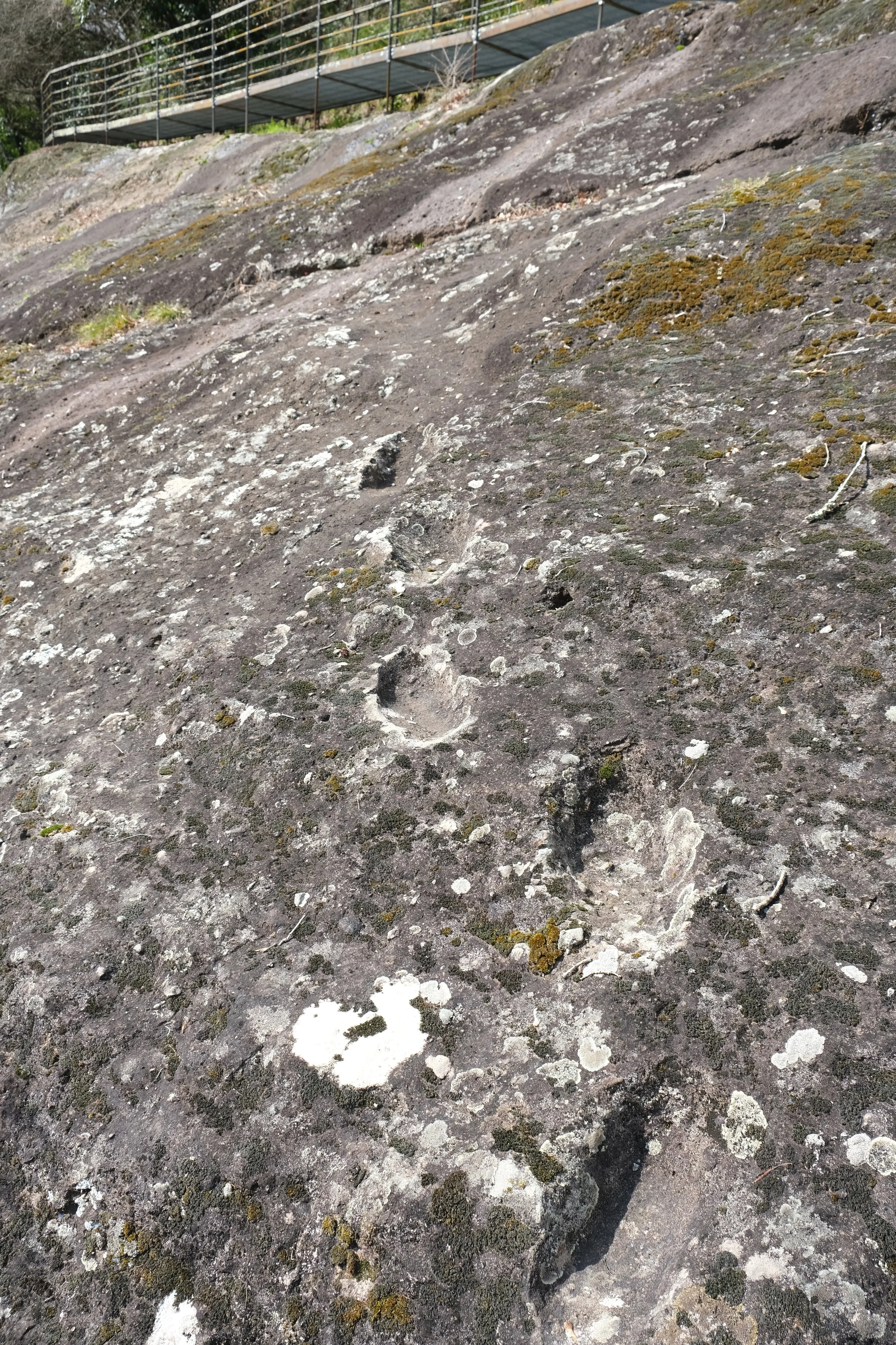 The devil's footprints - le campmate del diavolo, 350,000 year old footprints of Homo heidelbergensis