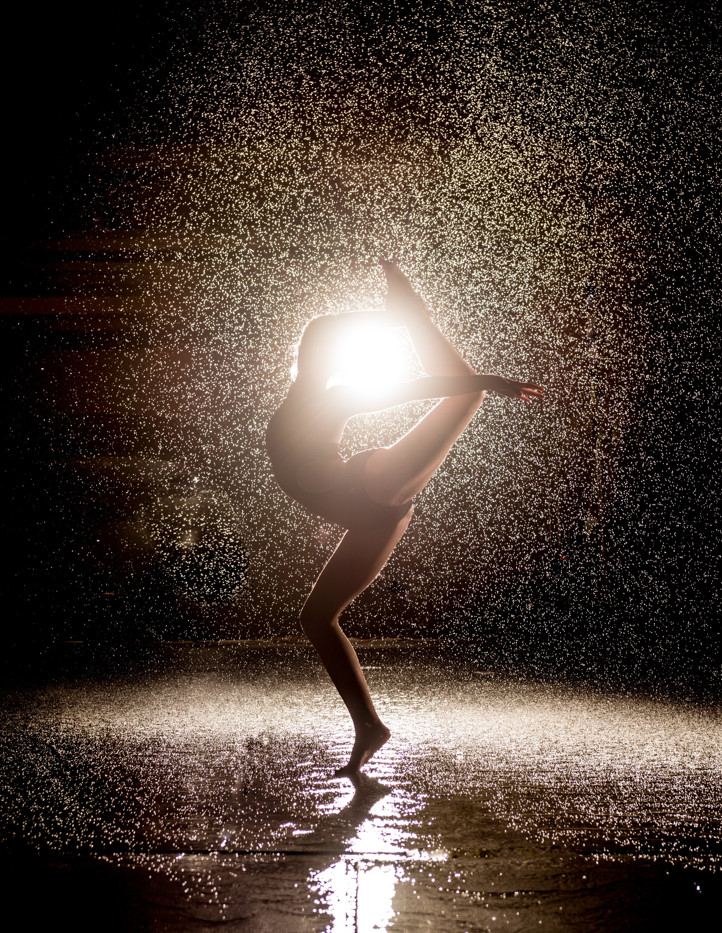 The Physical Body