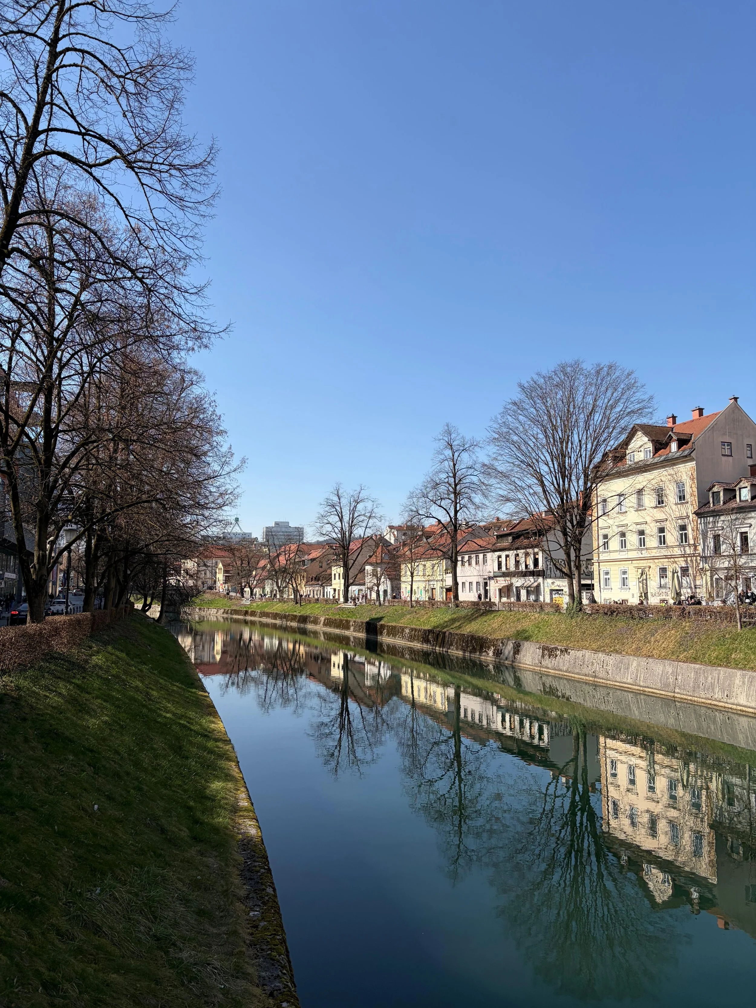 WhatsApp Image 2026-03-11 at 19.56.27.jpeg