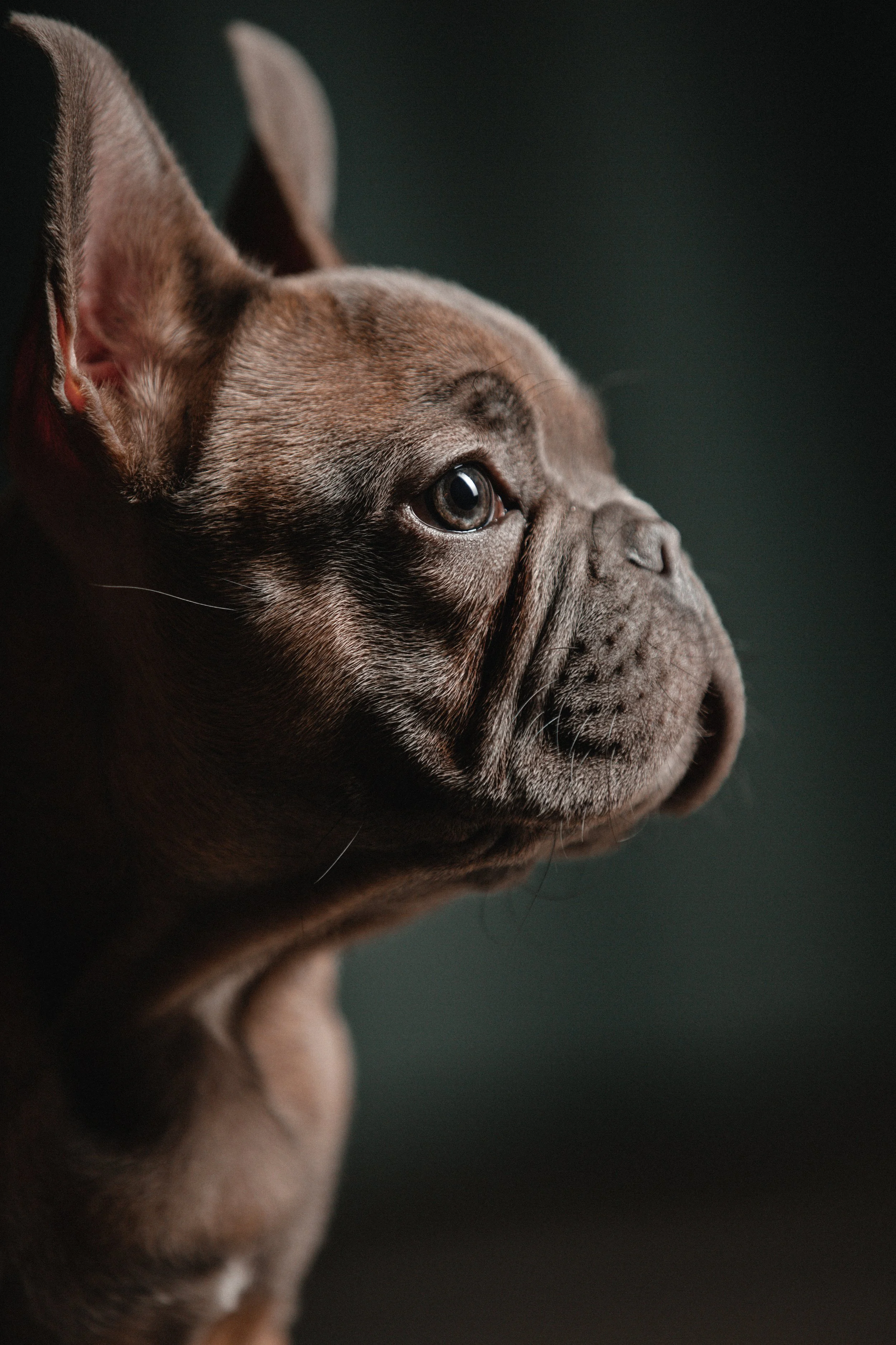 PF (225 von 370).jpg