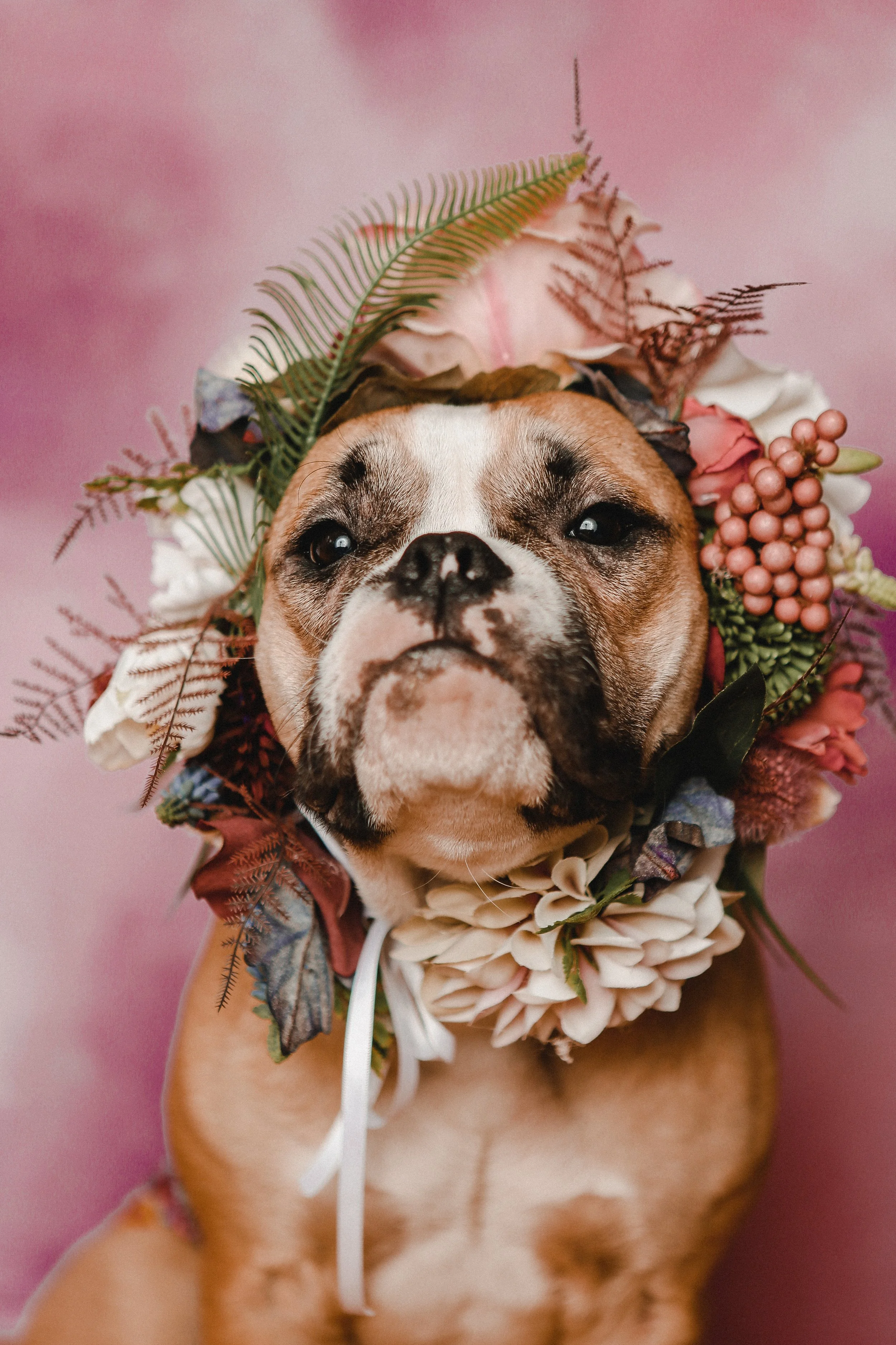 PF (120 von 370).jpg