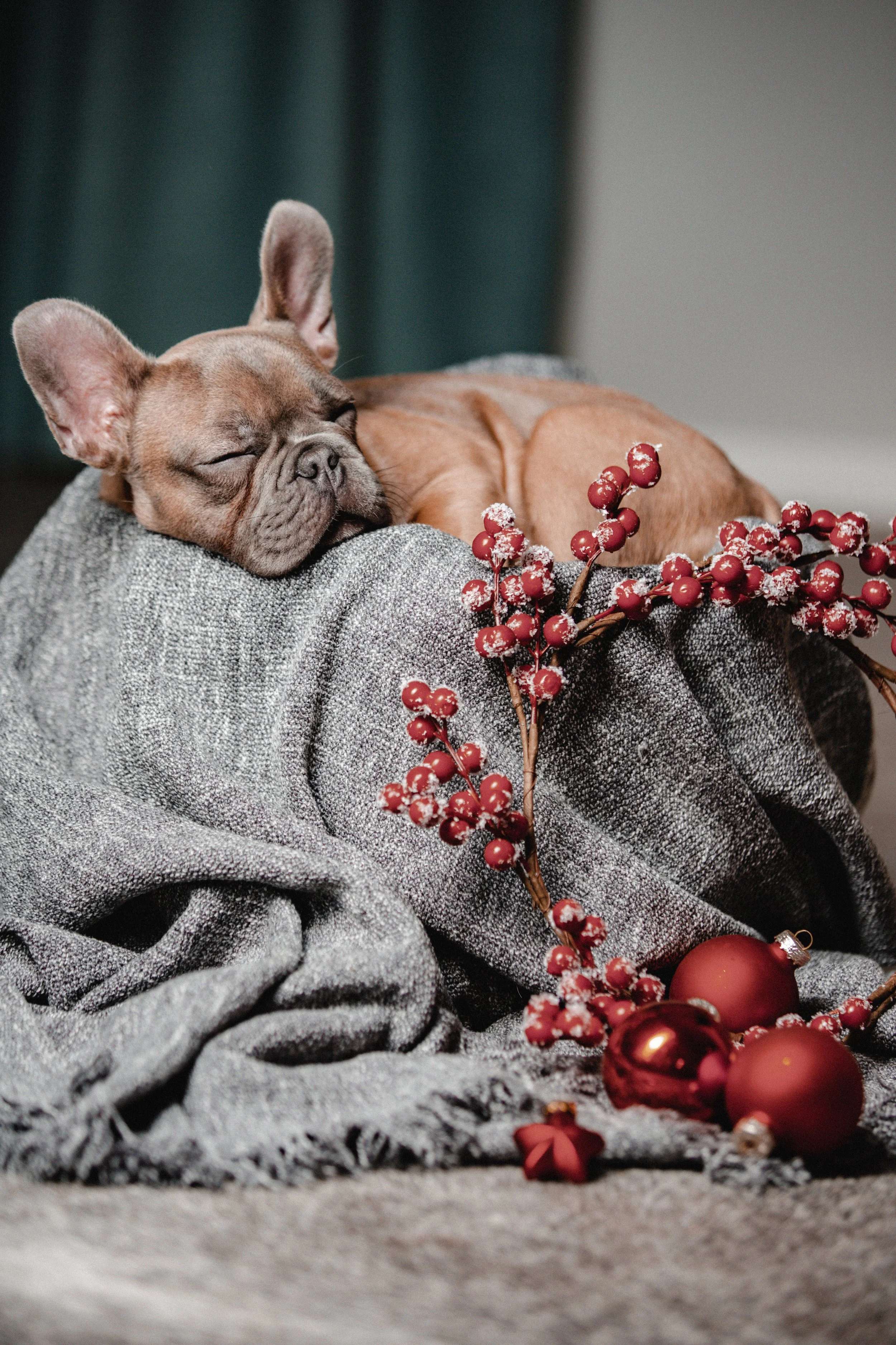 PF (223 von 370).jpg