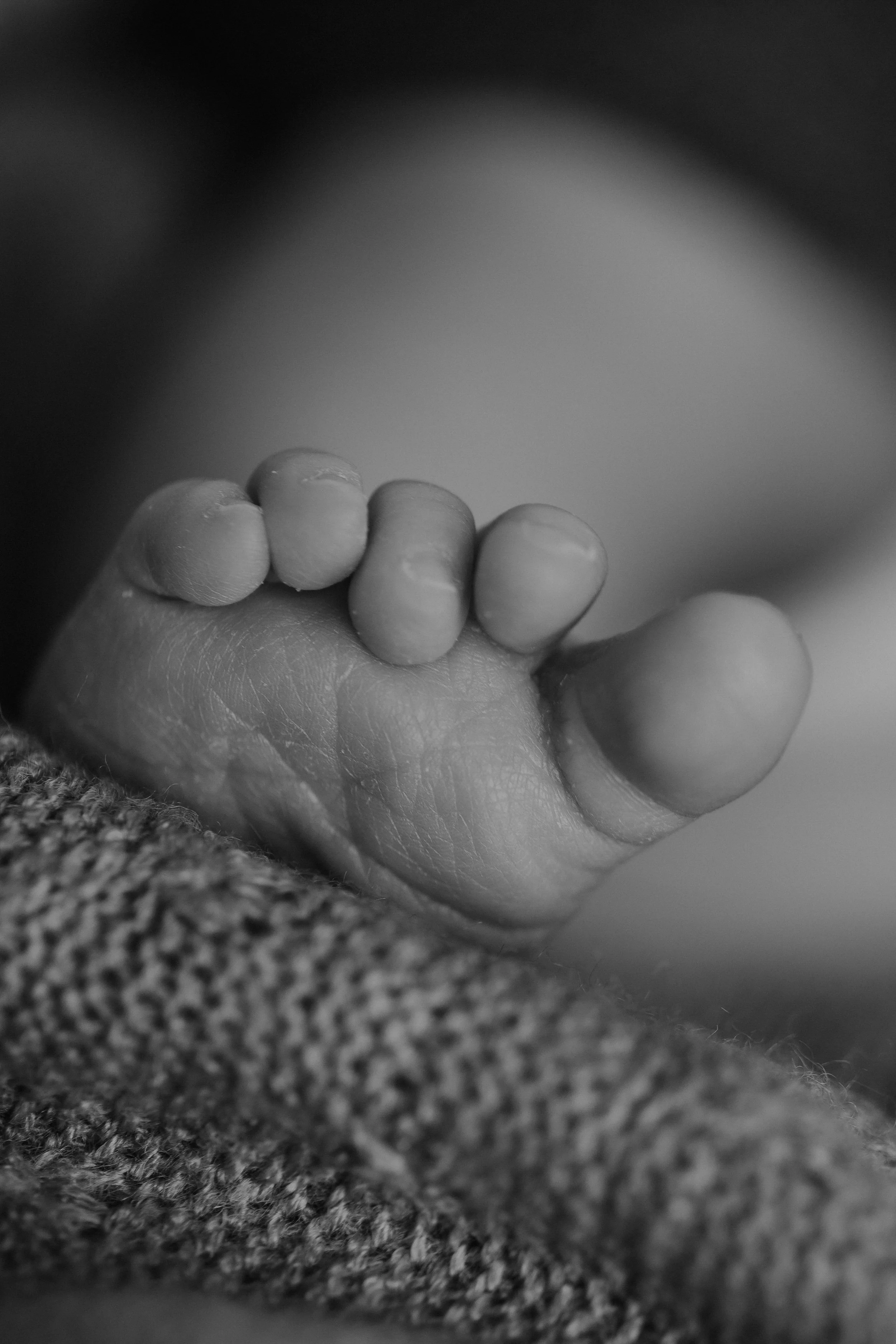 PF (345 von 353).jpg