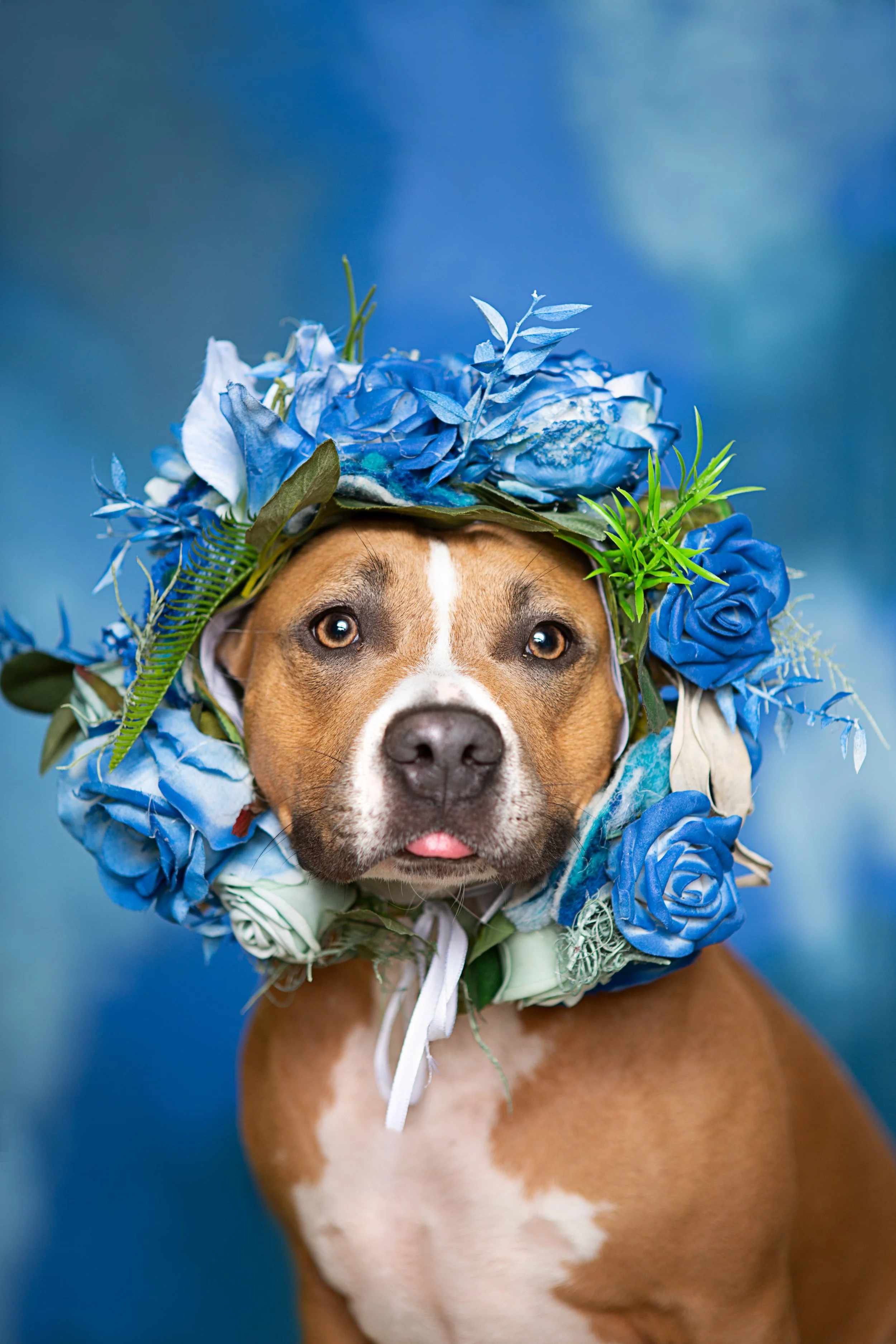 PF (125 von 370).jpg