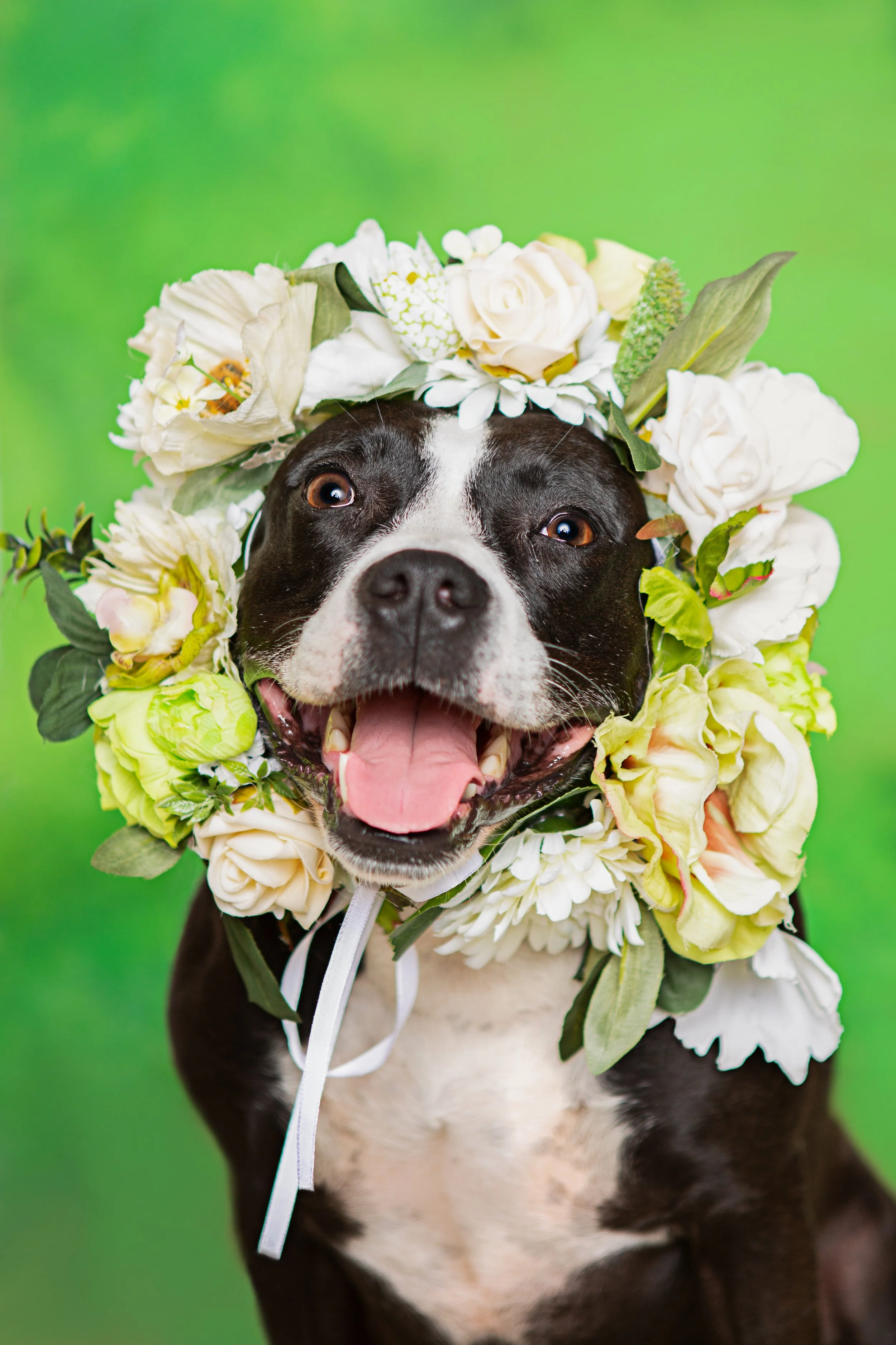 PF (126 von 370).jpg