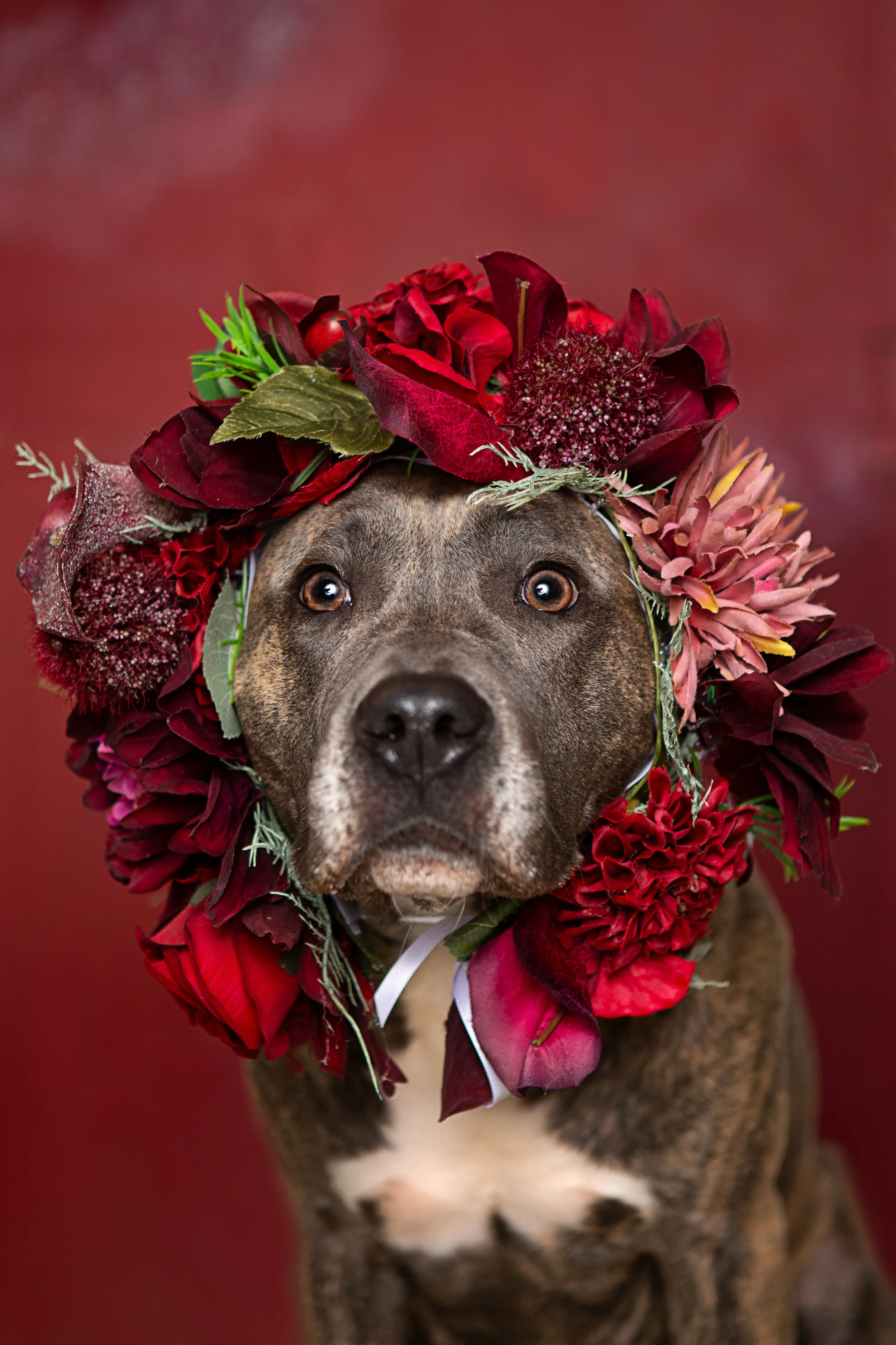 PF (124 von 370).jpg