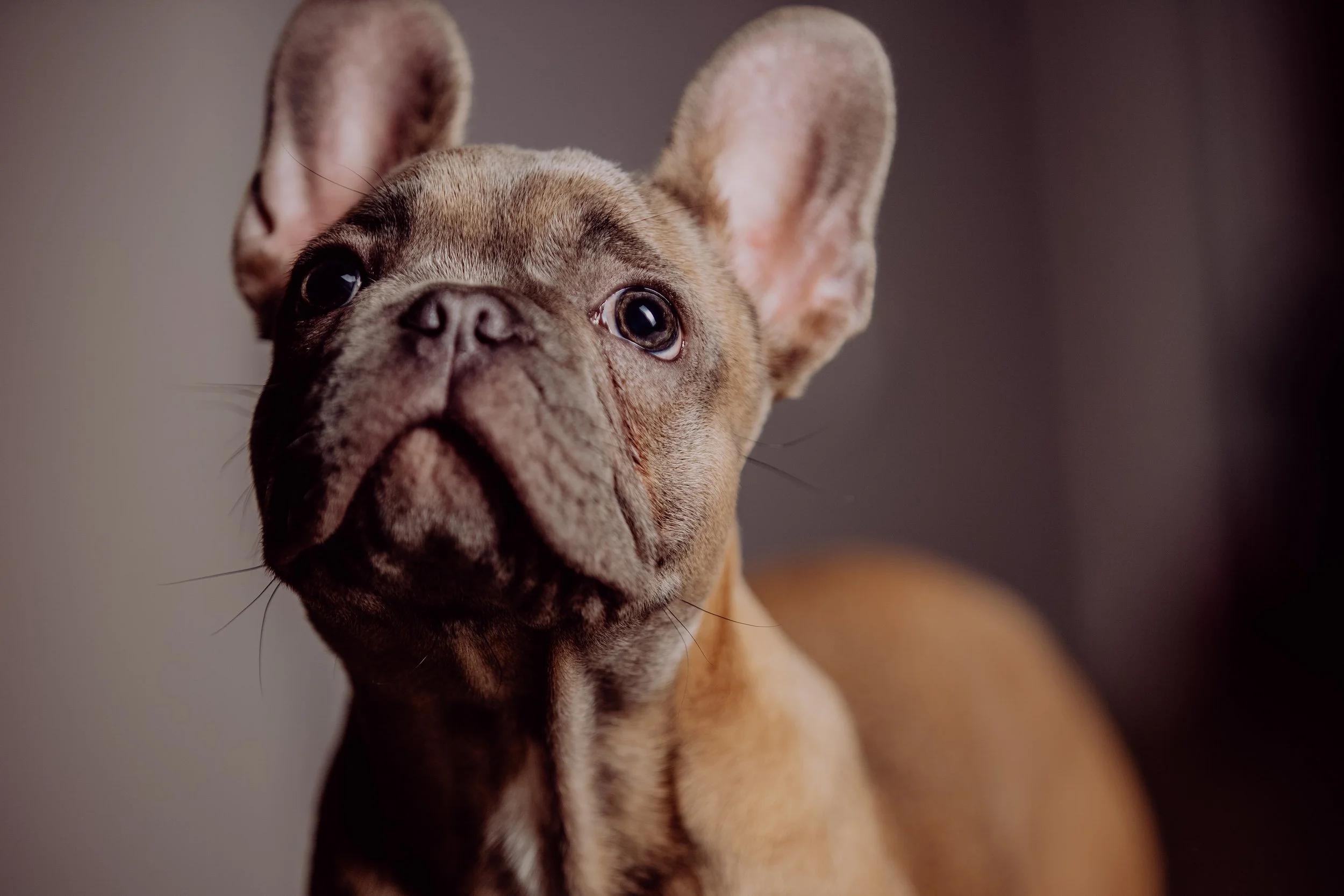 PF (218 von 370).jpg