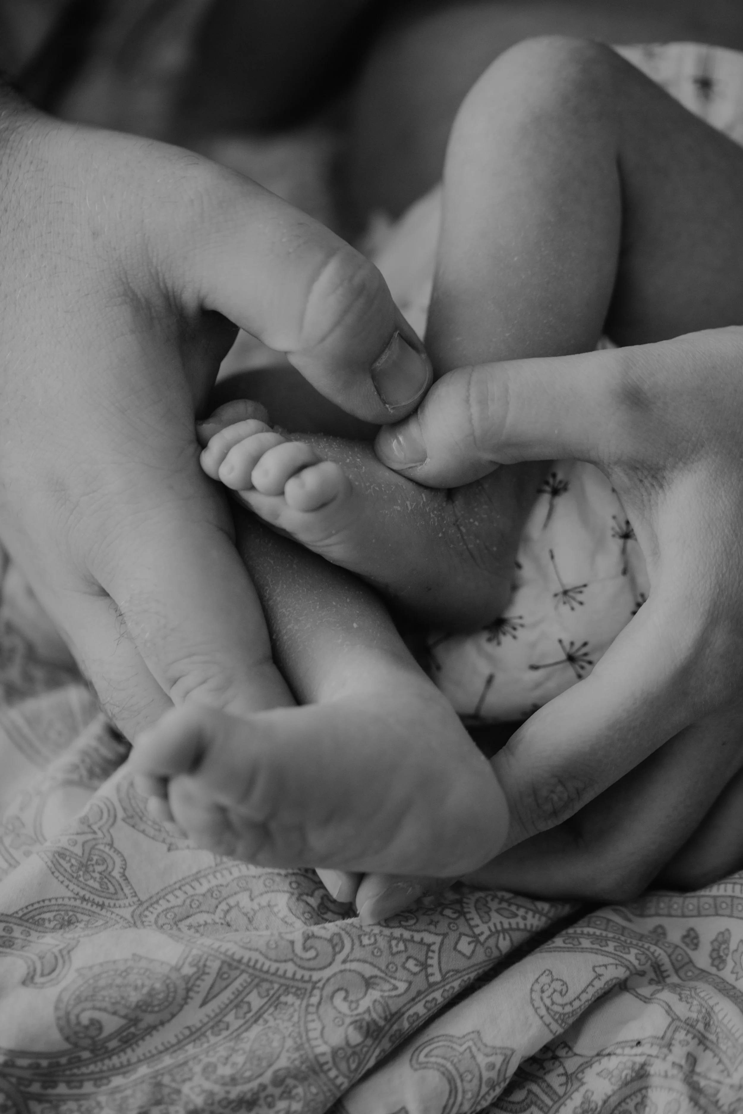 PF (139 von 353).jpg