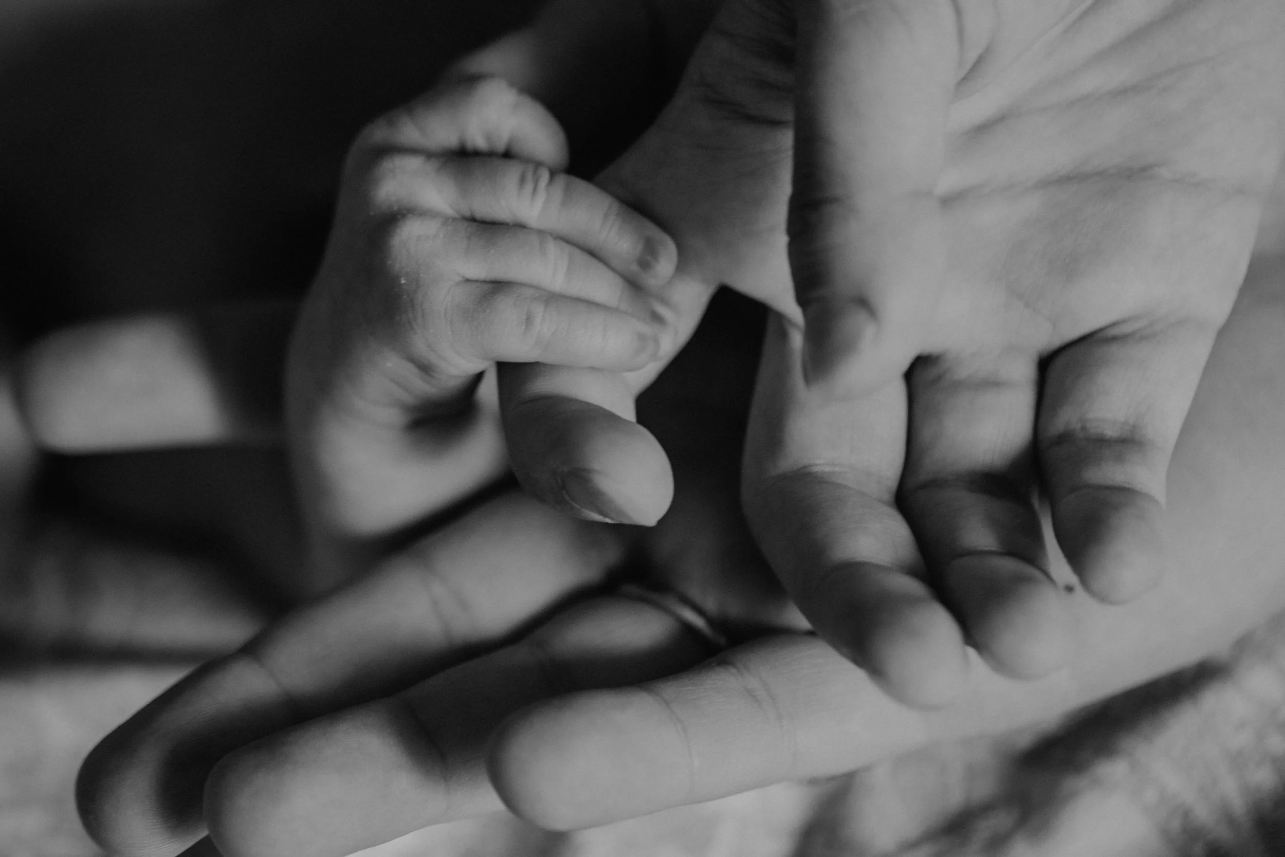 PF (143 von 353).jpg