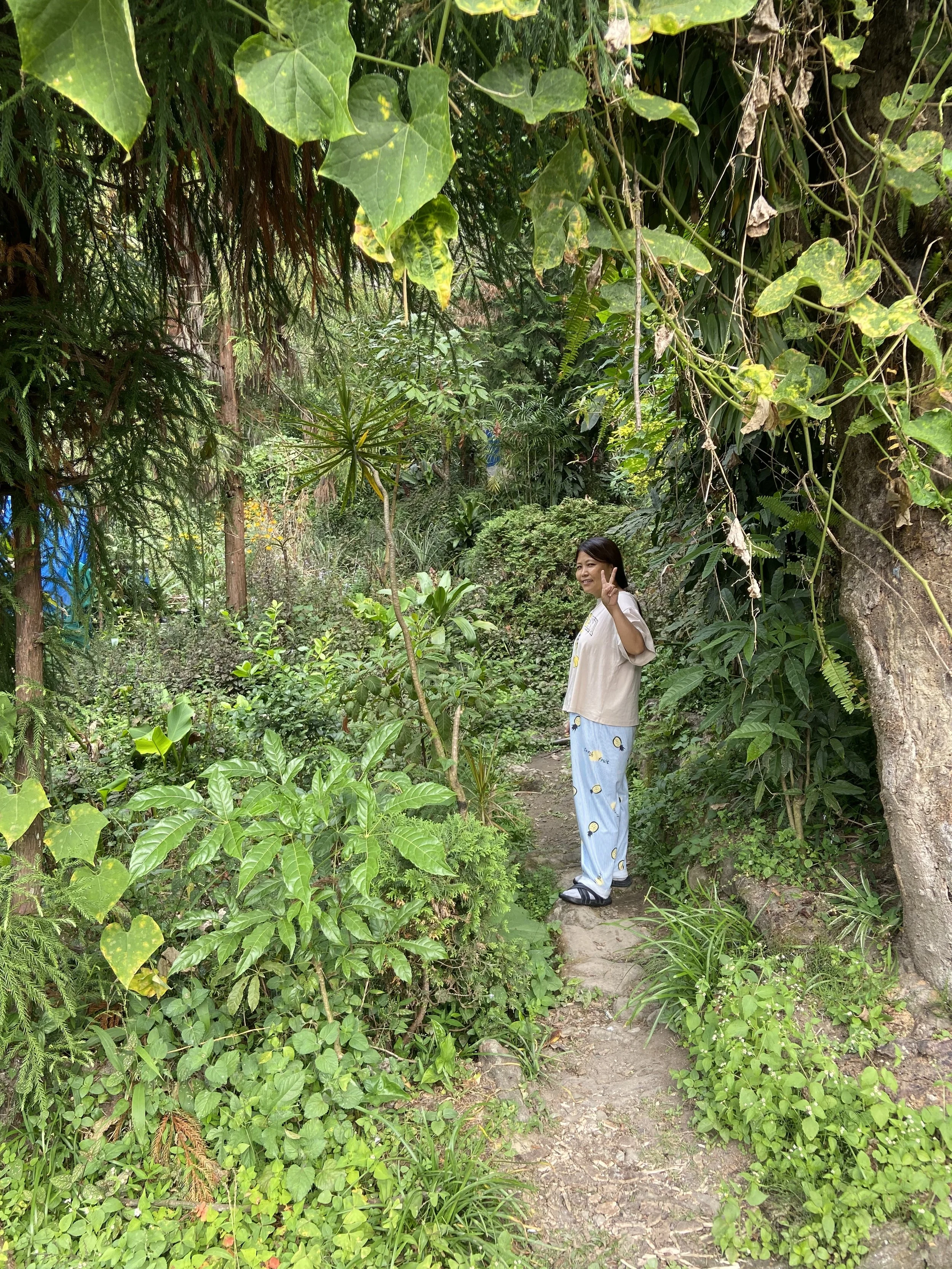 The India Project - click to learn more