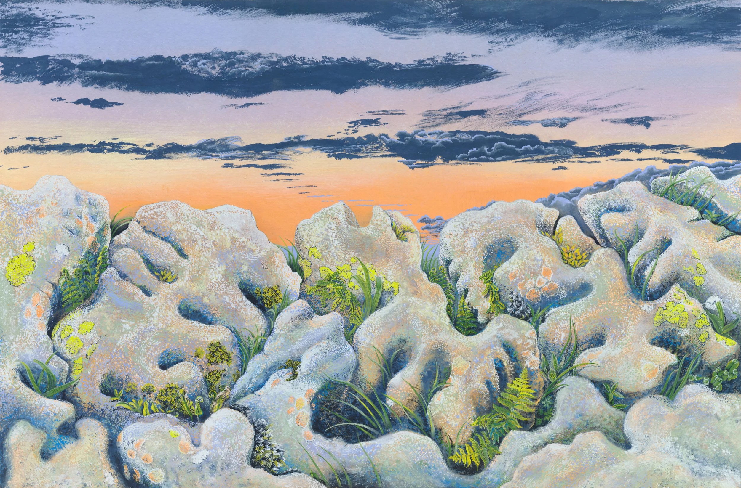 Saxicolous Microworlds, 2025 
Gouache and Foraged Fungi Watercolour on 
Recycled Cotton Rag 
34x51.4cm