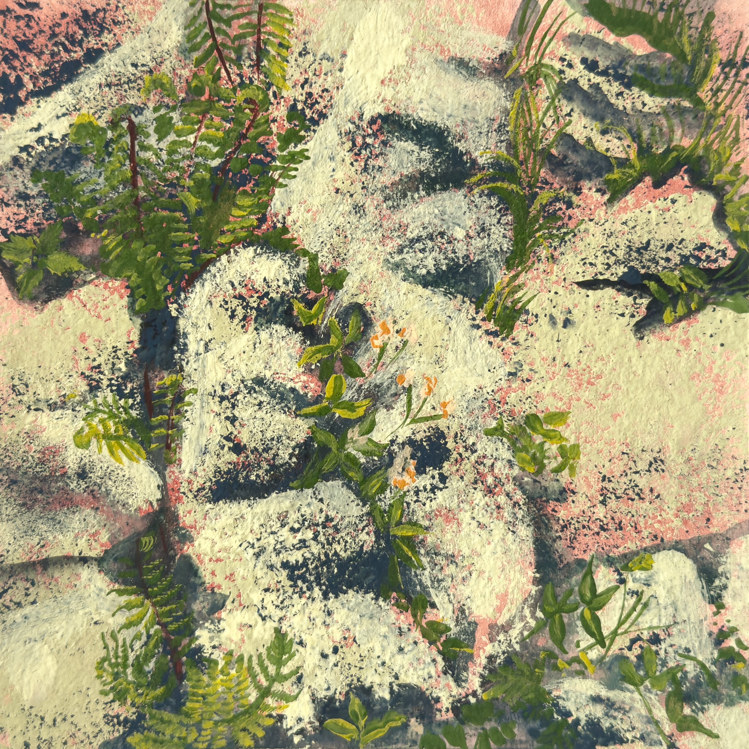 Saxicolous III, 2025 
Gouache and Foraged Fungi Watercolour on 
Recycled Cotton Rag 
9x9cm