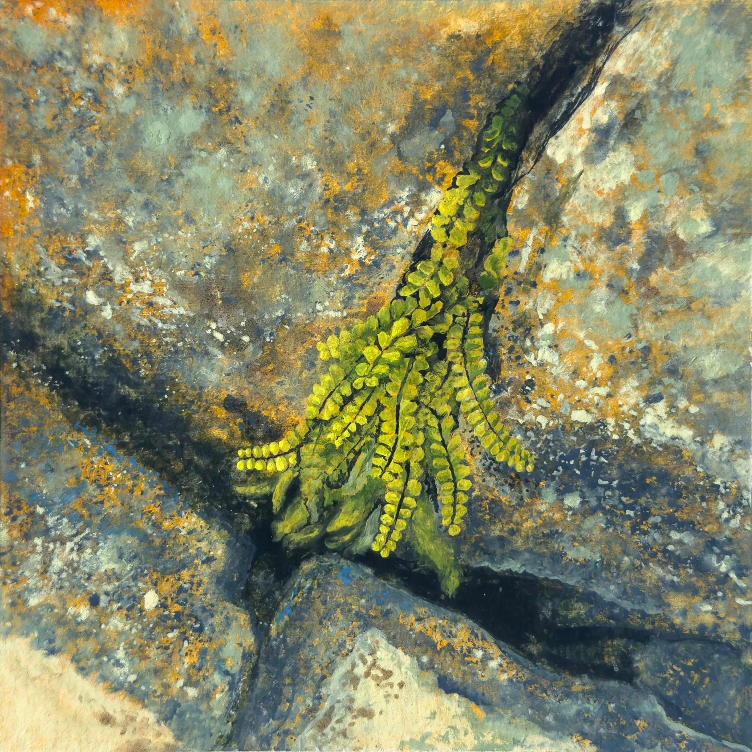 Saxicolous I, 2025 
Gouache and Foraged Fungi Watercolour on 
Recycled Cotton Rag 
9x9cm 
Sold