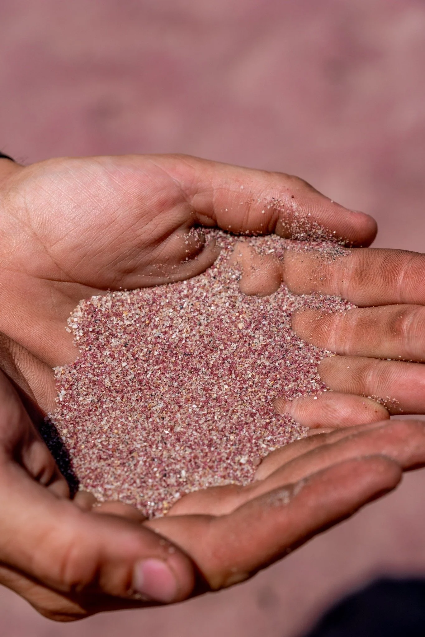 Pink Beach just north of Kalbarri. The pink particles are pink garnet which is also commonly used in sandpaper.