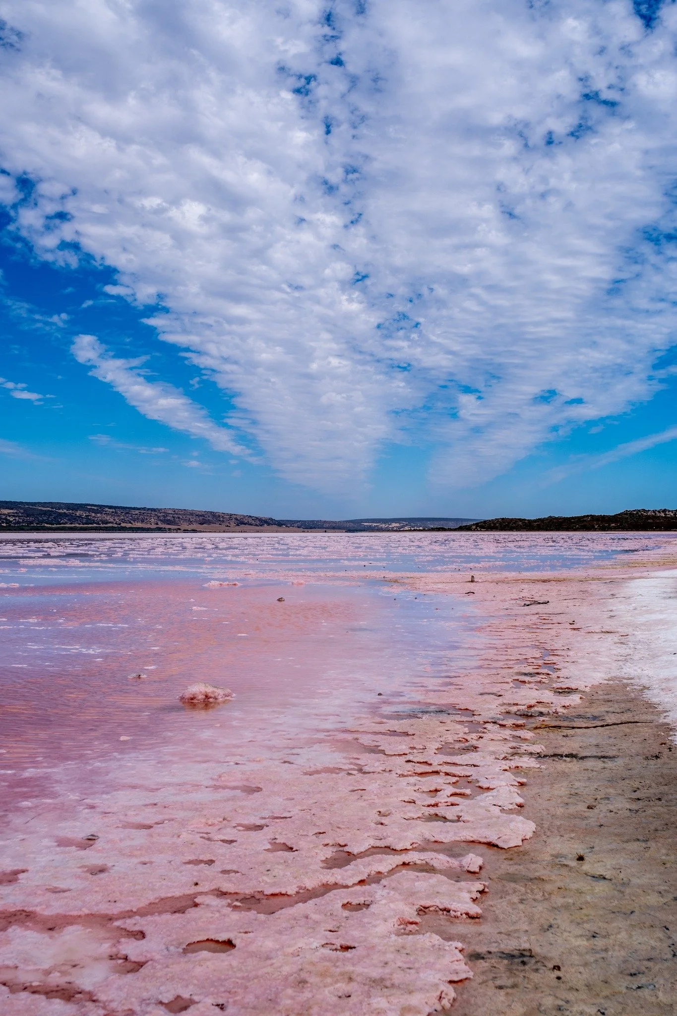 The Pink Lake at Hutt Lagoon is a salt marine lake known for its rich ,unique colour!