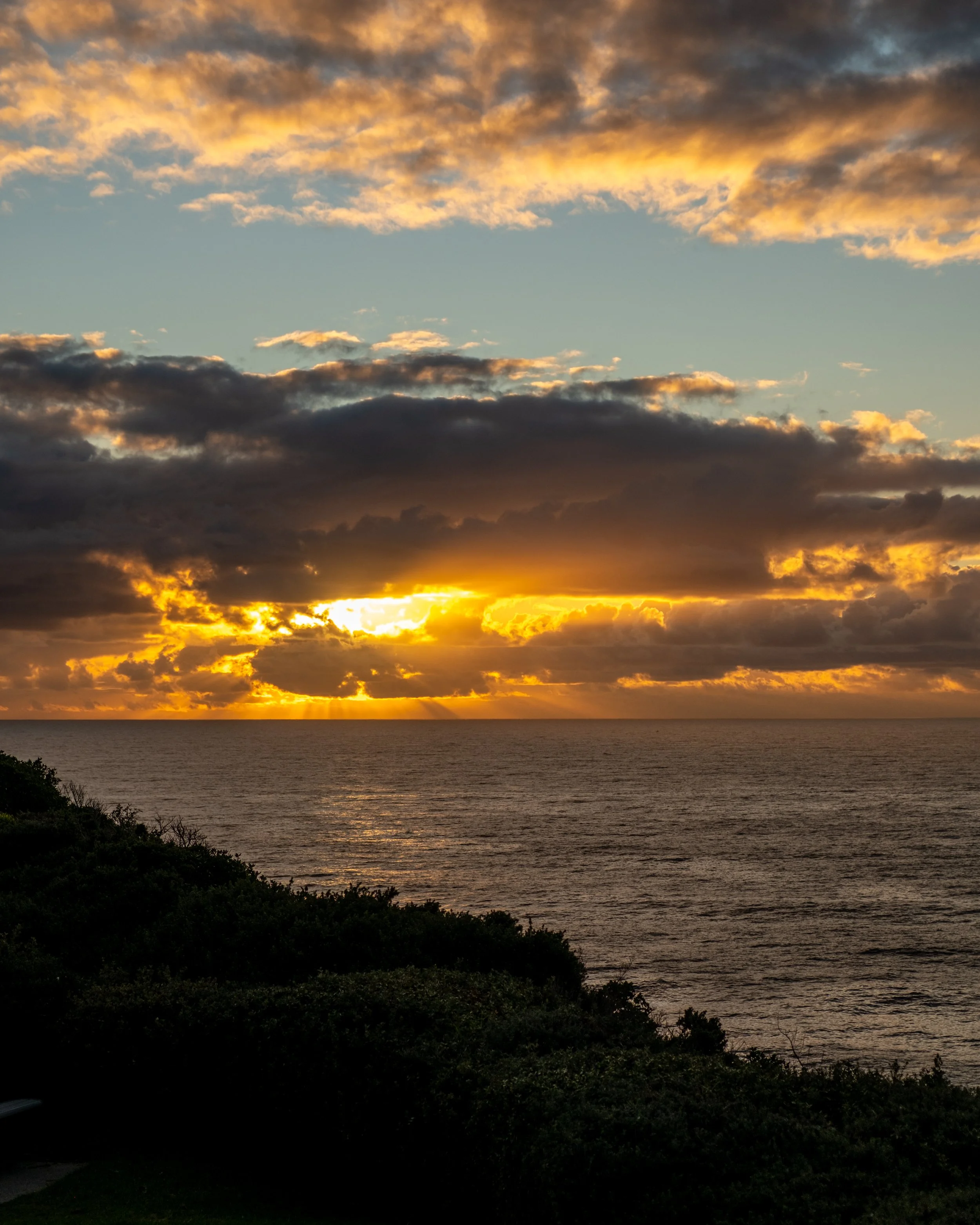 DSCF7538.jpg