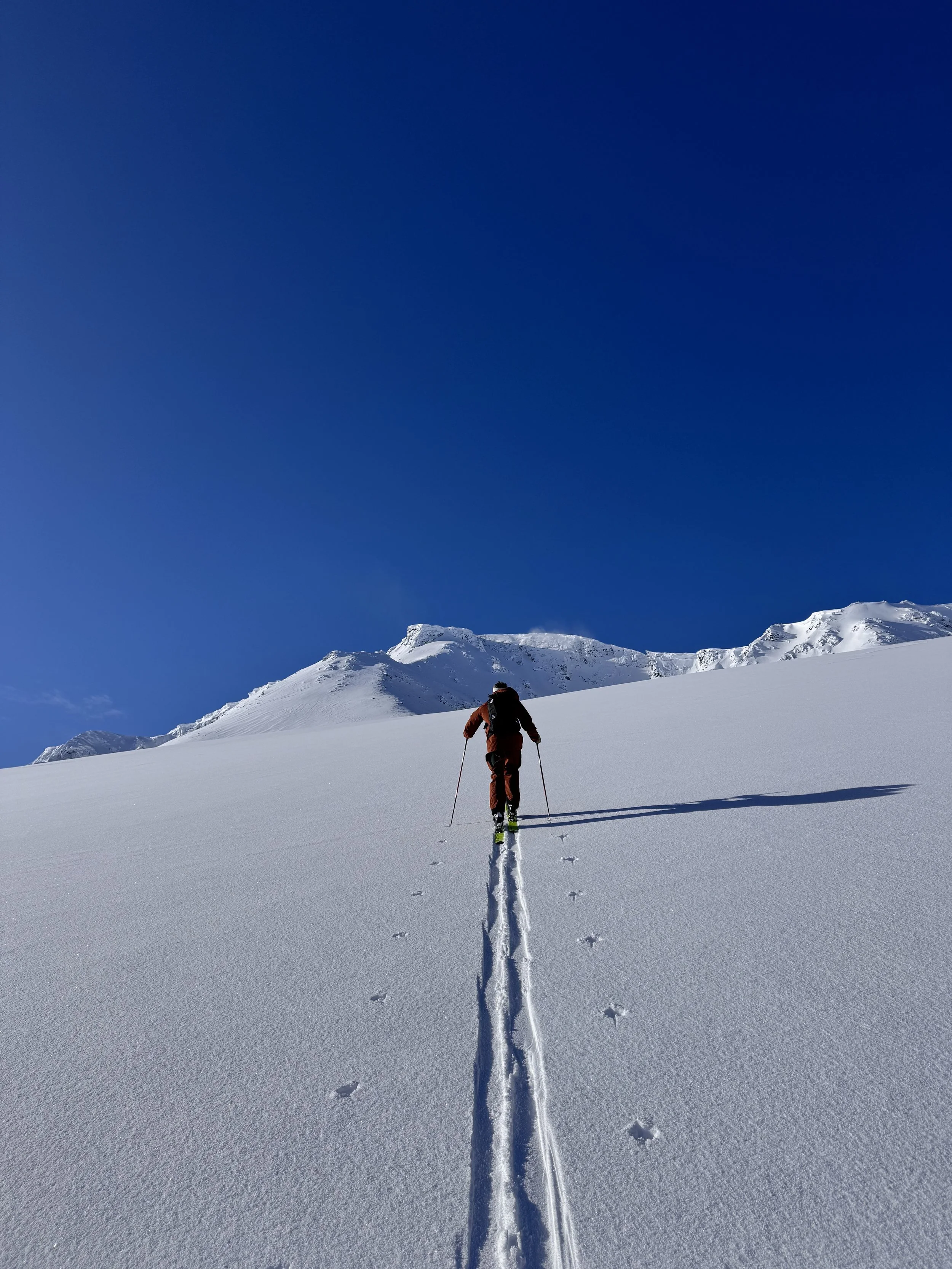 Die Freiheit am Berg genießen.