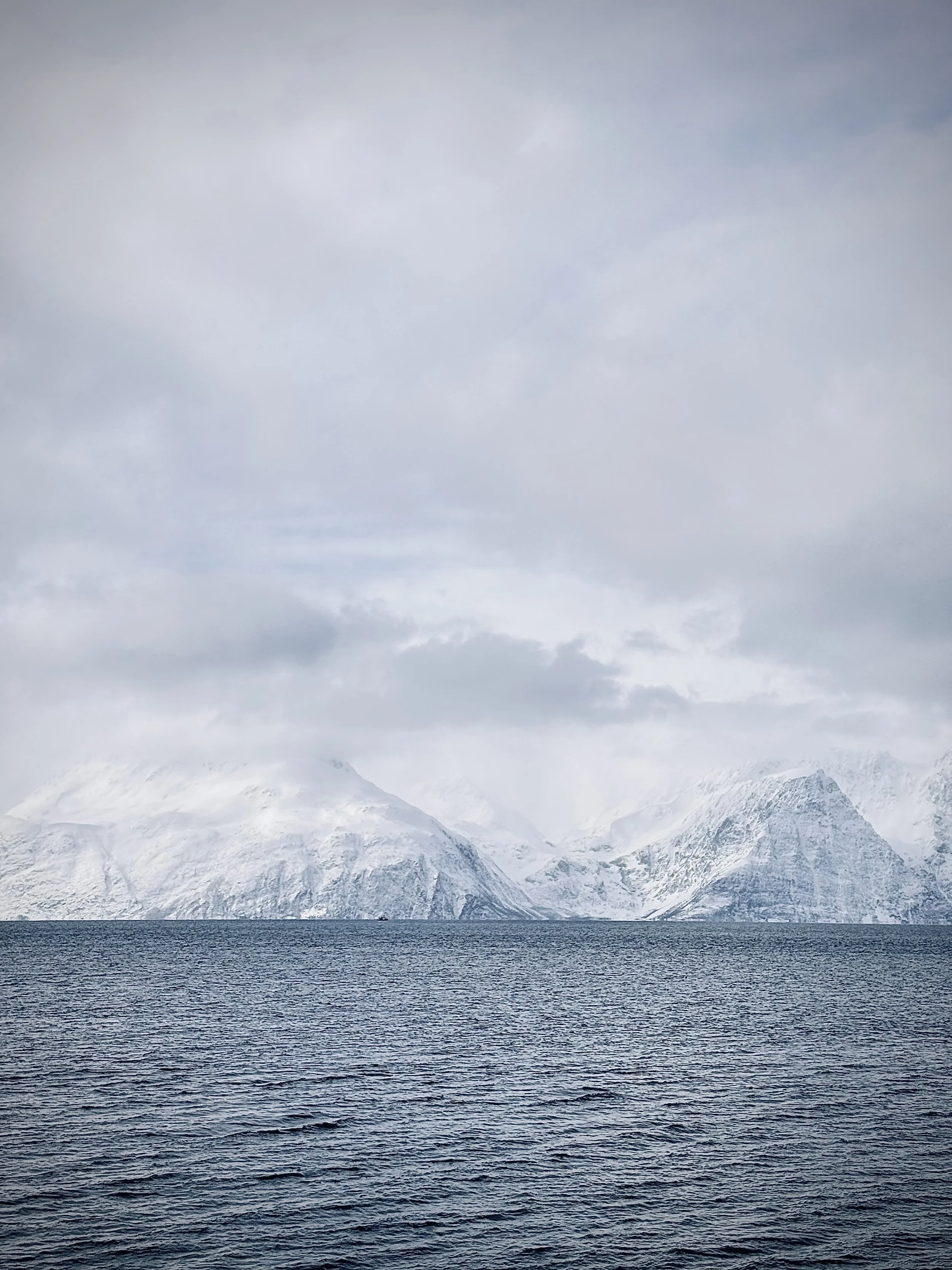 Das ist Norwegen, mit den Skiern abfahren bis zum Fjord.