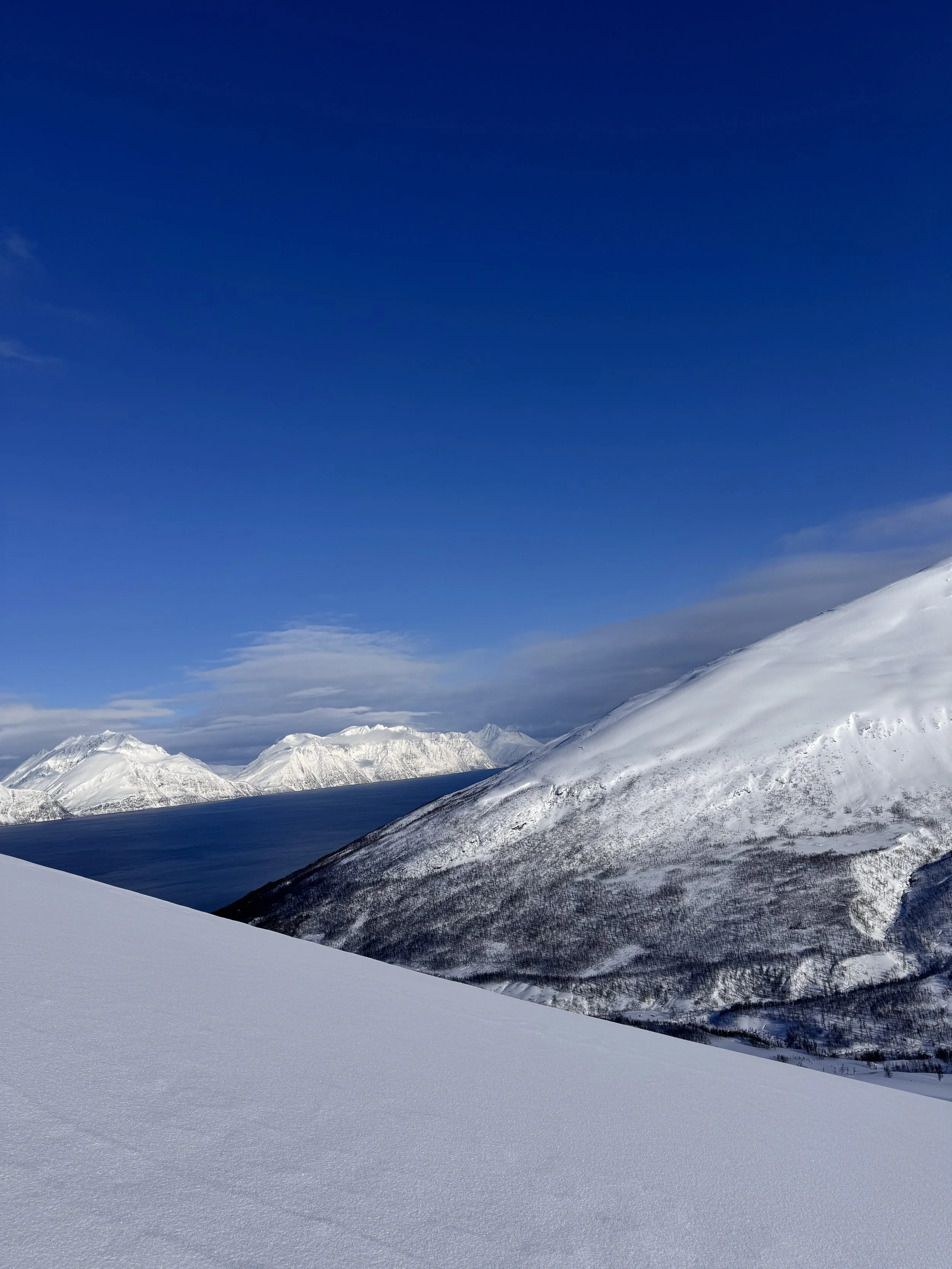 Schneebedeckte Berge und ein blauer Himmel mit wenigen Wolken über einem Fjord.
