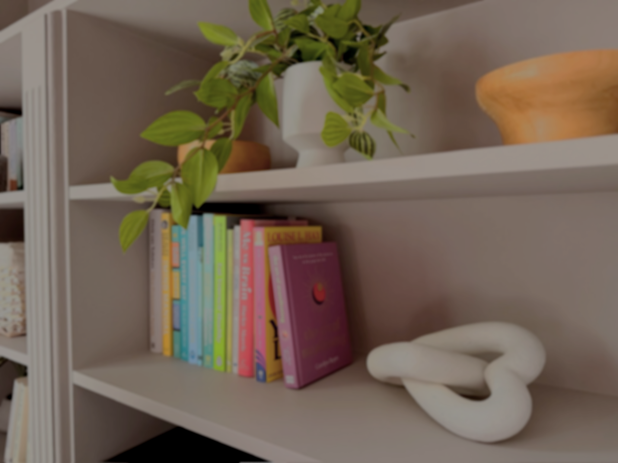 White bookshelf with a potted green plant, colorful books, a wooden bowl, and a white decorative knot.
