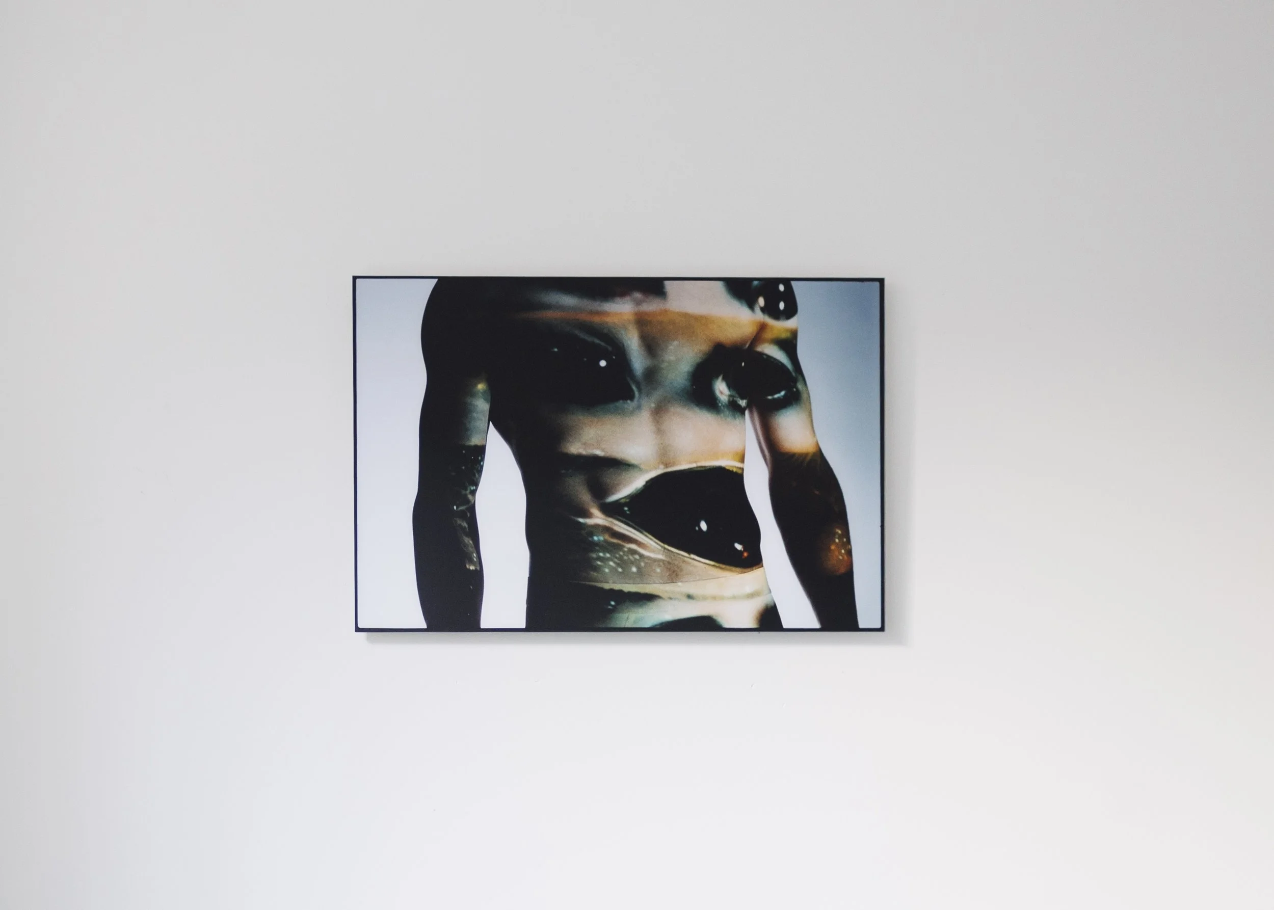 (on)waarachtige schoonheid 11