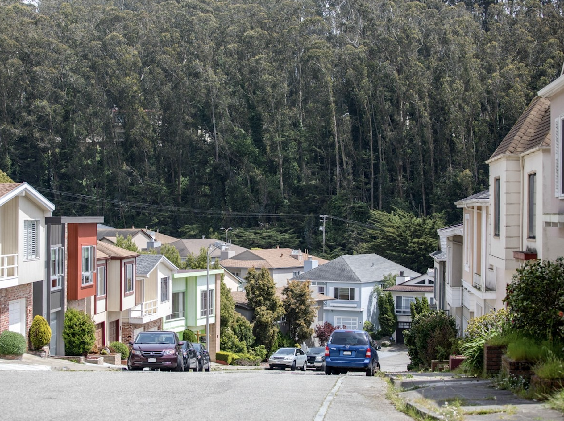 A residential neighborhood with houses and parked cars, surrounded by a lush green forest in the background.