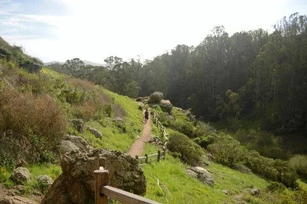 Glen Canyon. A narrow dirt trail winding through a grassy hillside with rocks and a wooden fence, leading into a forested area.