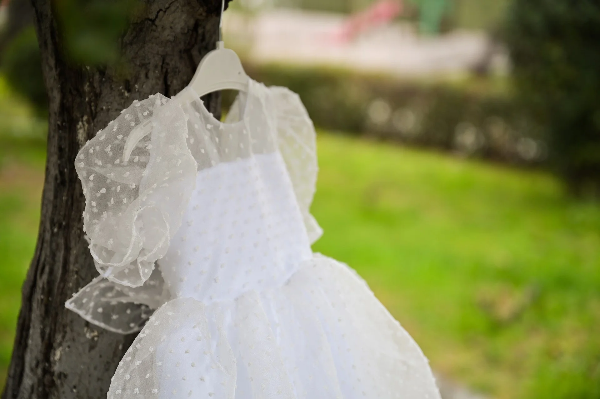 A white dress with puffy sleeves hanging on a tree branch in an outdoor setting.