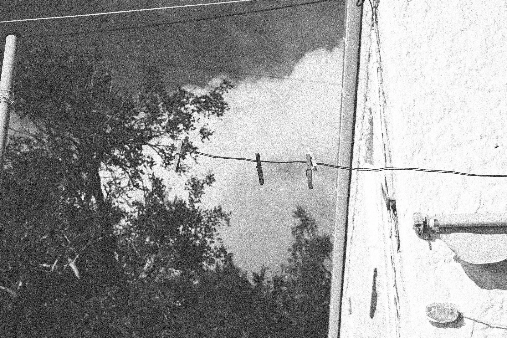 A black and white photo showing a rooftop scene with a clothesline, a tree, and distant smoke from a fire.