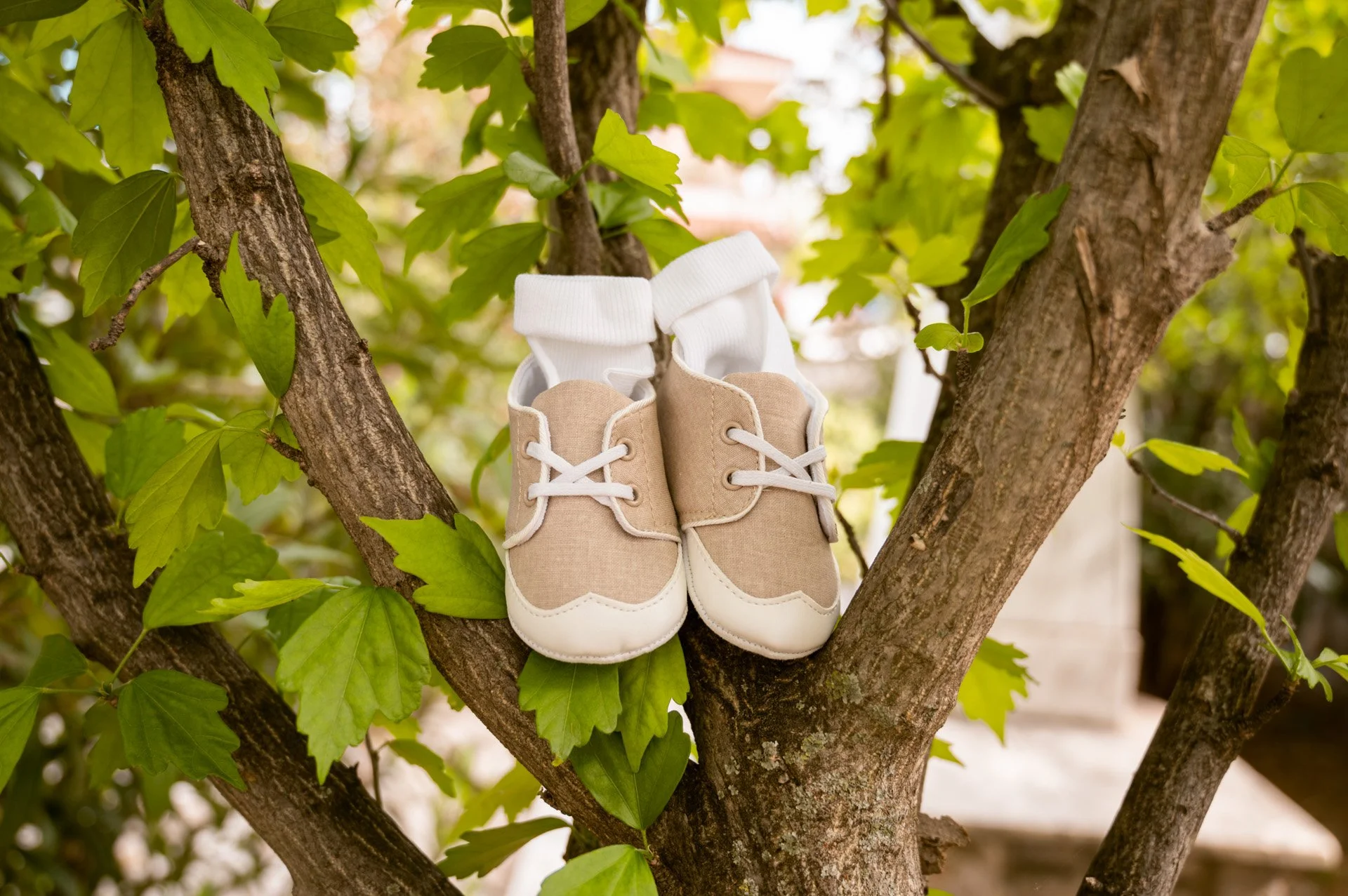 A pair of beige baby shoes and white socks hanging on a tree branch surrounded by green leaves.