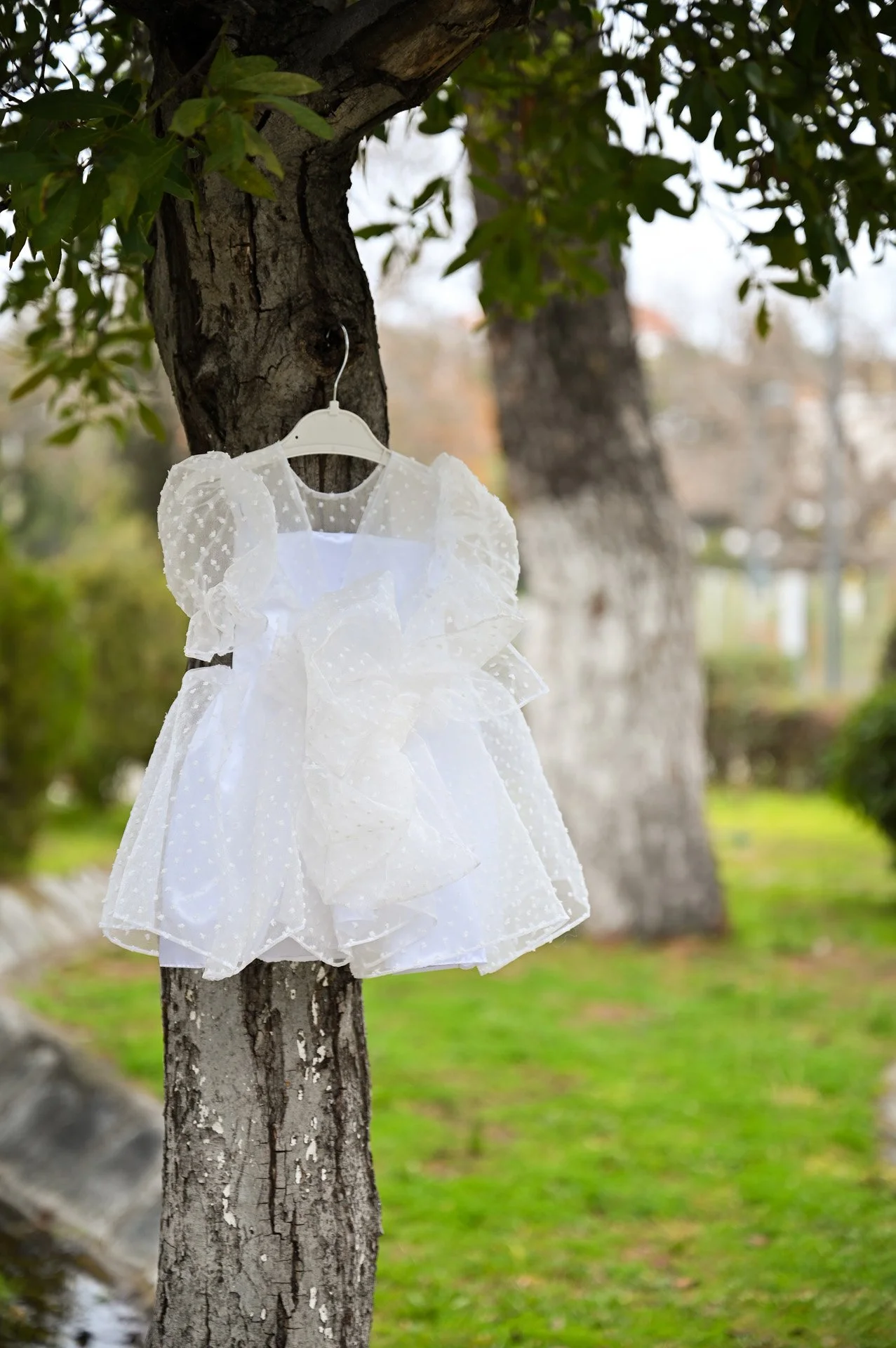 A white dress hanging on a hanger from a tree in a park or garden.
