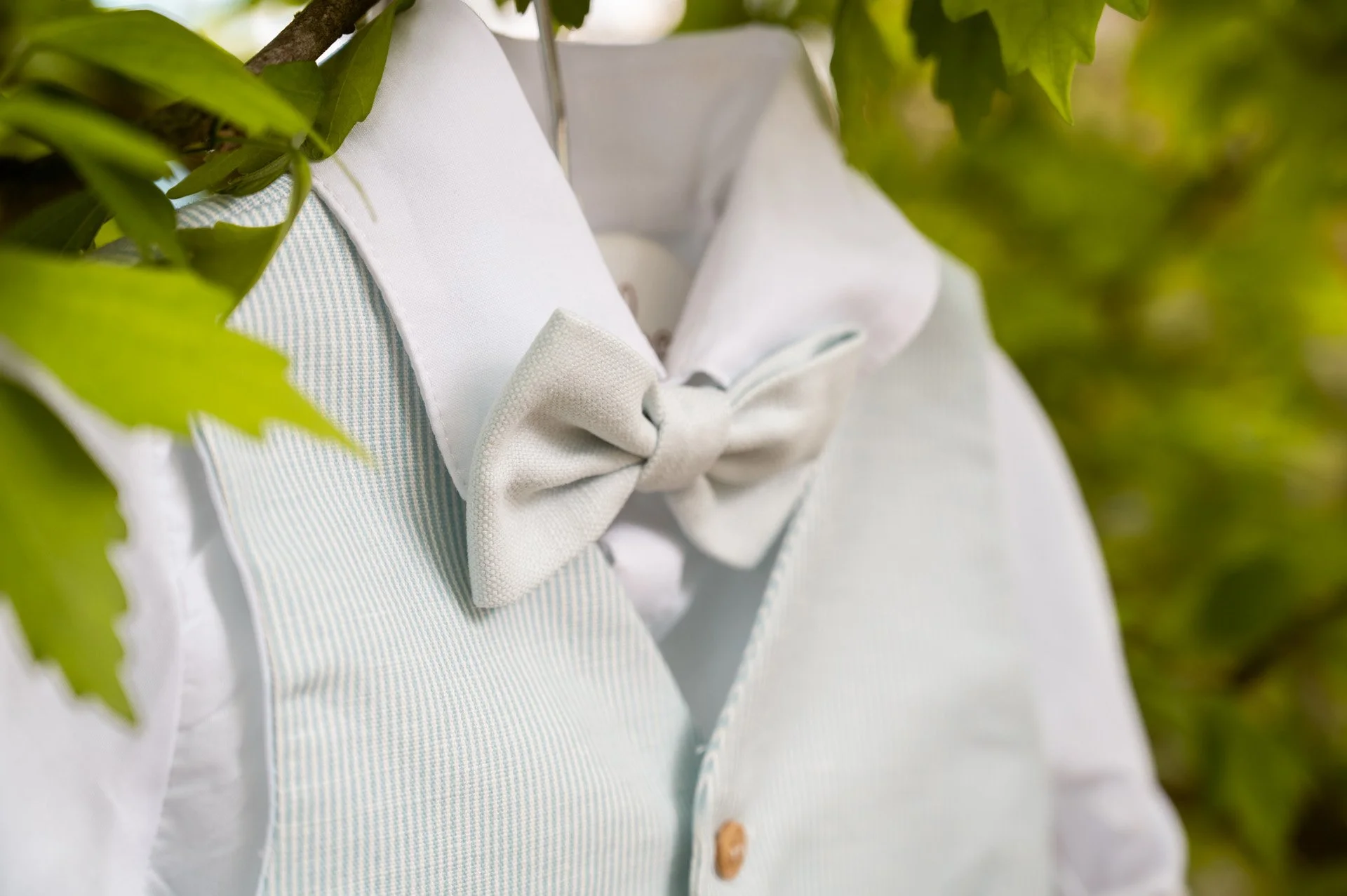 Close-up of a beige bow tie worn with a white shirt and light teal vest, surrounded by green leaves.