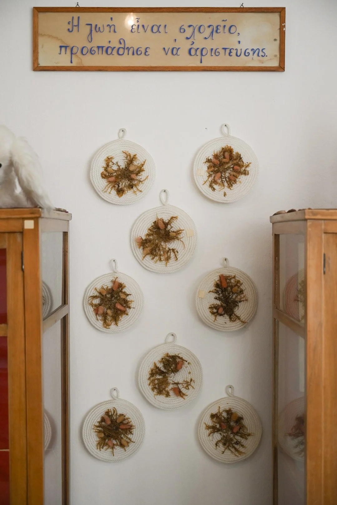 A wall display of seven white circular woven art pieces with botanical materials attached, arranged in three columns. A framed sign with Greek writing hangs above the display, and two wooden display cases are partially visible on either side of the i