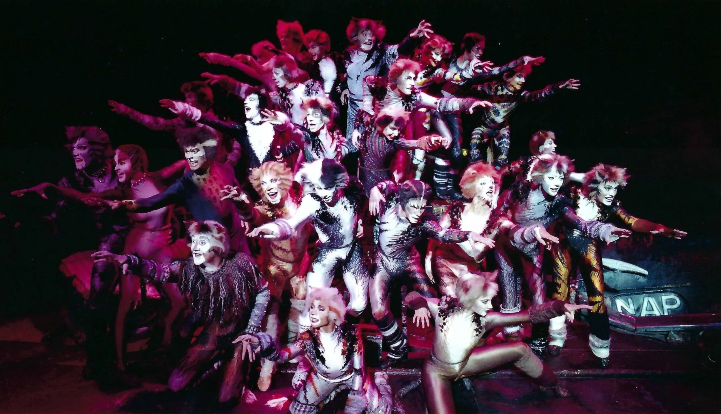 Cats company - London 1981