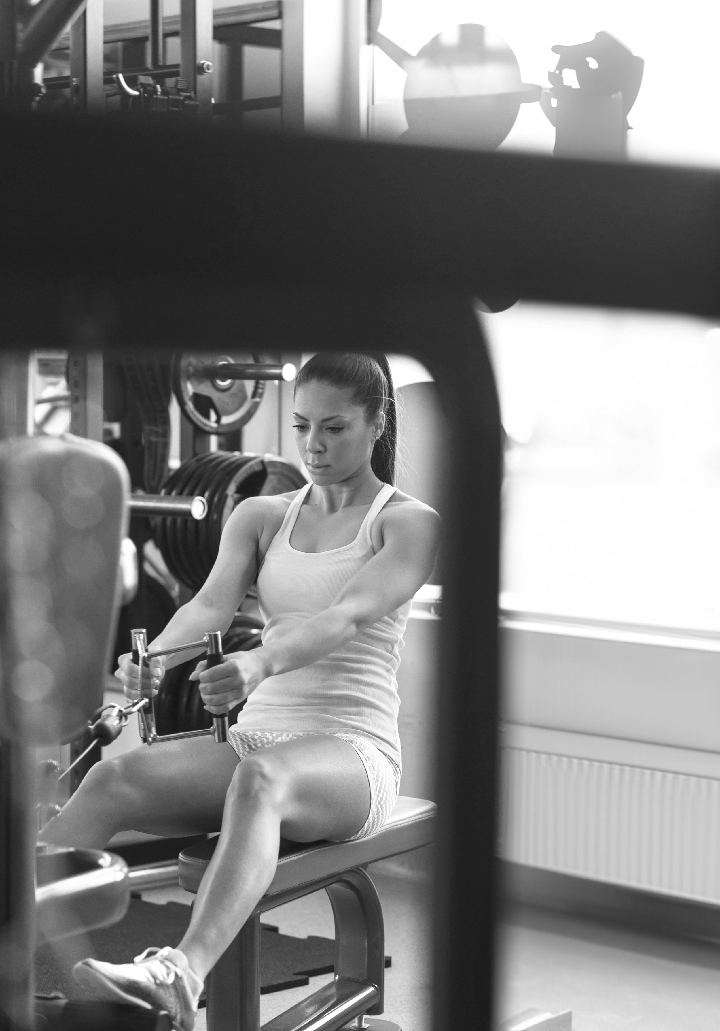 Basic Whole Body Gym Routine