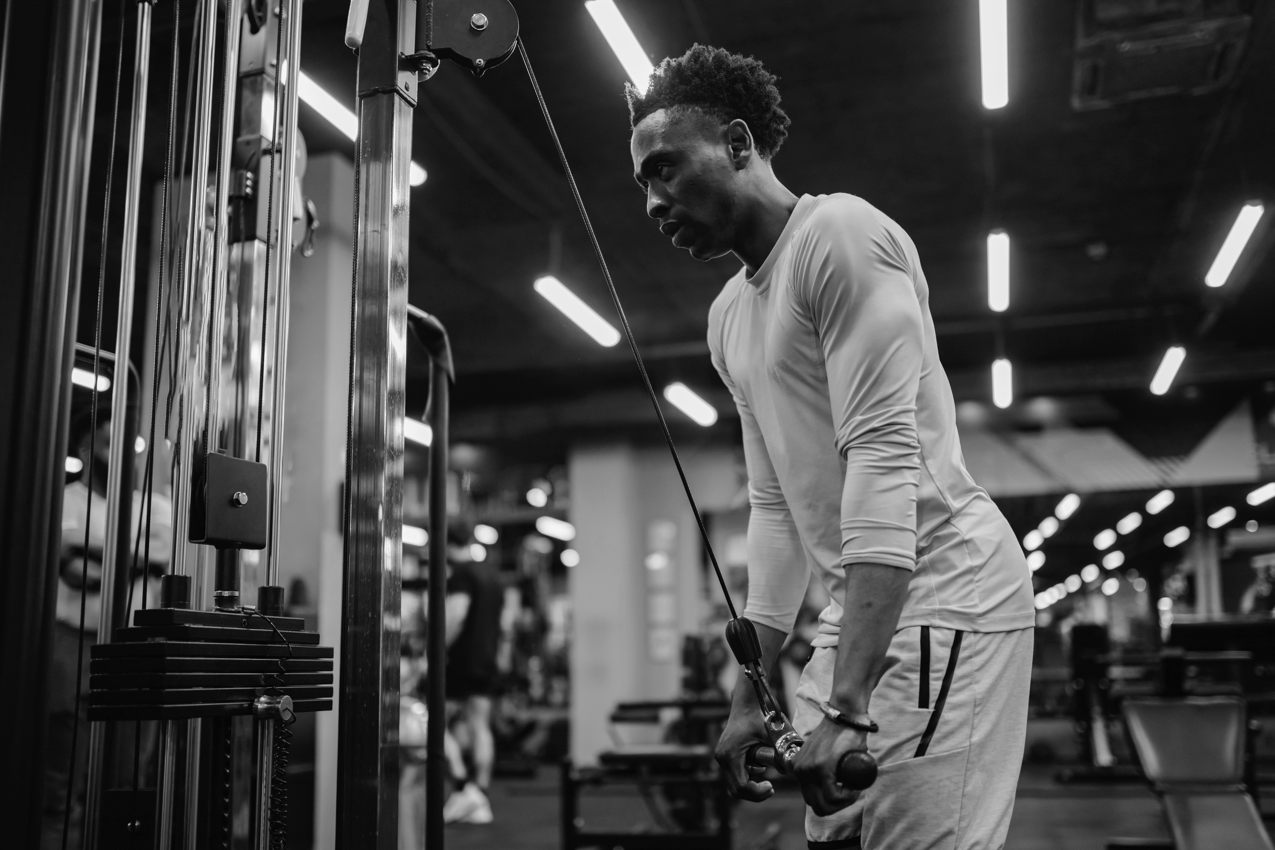 Basic Whole Body Two Day Gym Routine