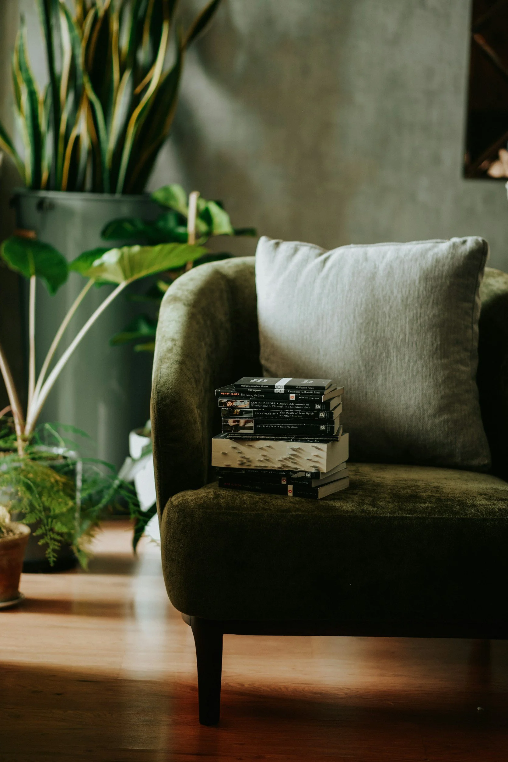 A dark green velvet armchair with a beige cushion, stacked with books on the seat. In the background, large potted plants and a gray textured wall.