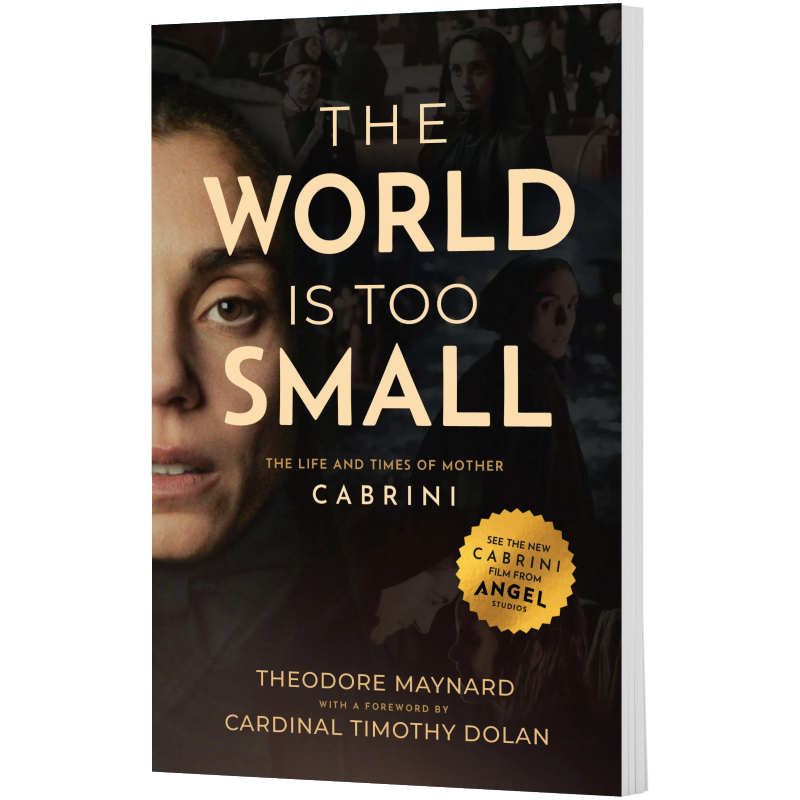 The World Is Too Small (1).png