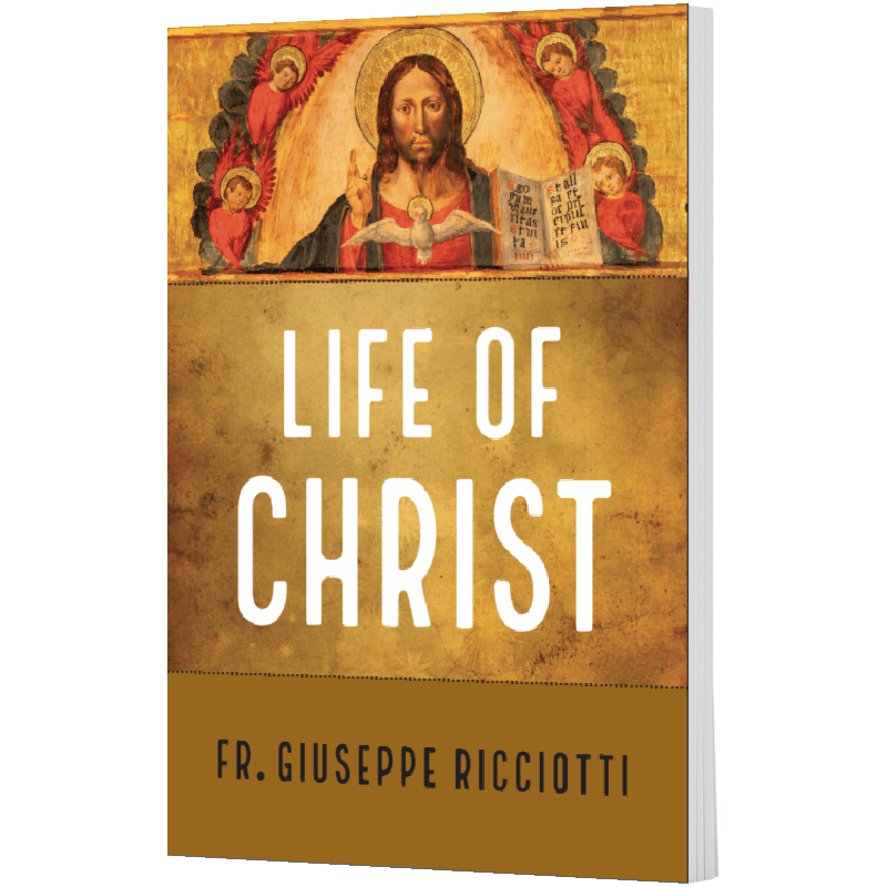 Life of Christ by Fr. Giuseppe Ricciotti — Saint's Book Club