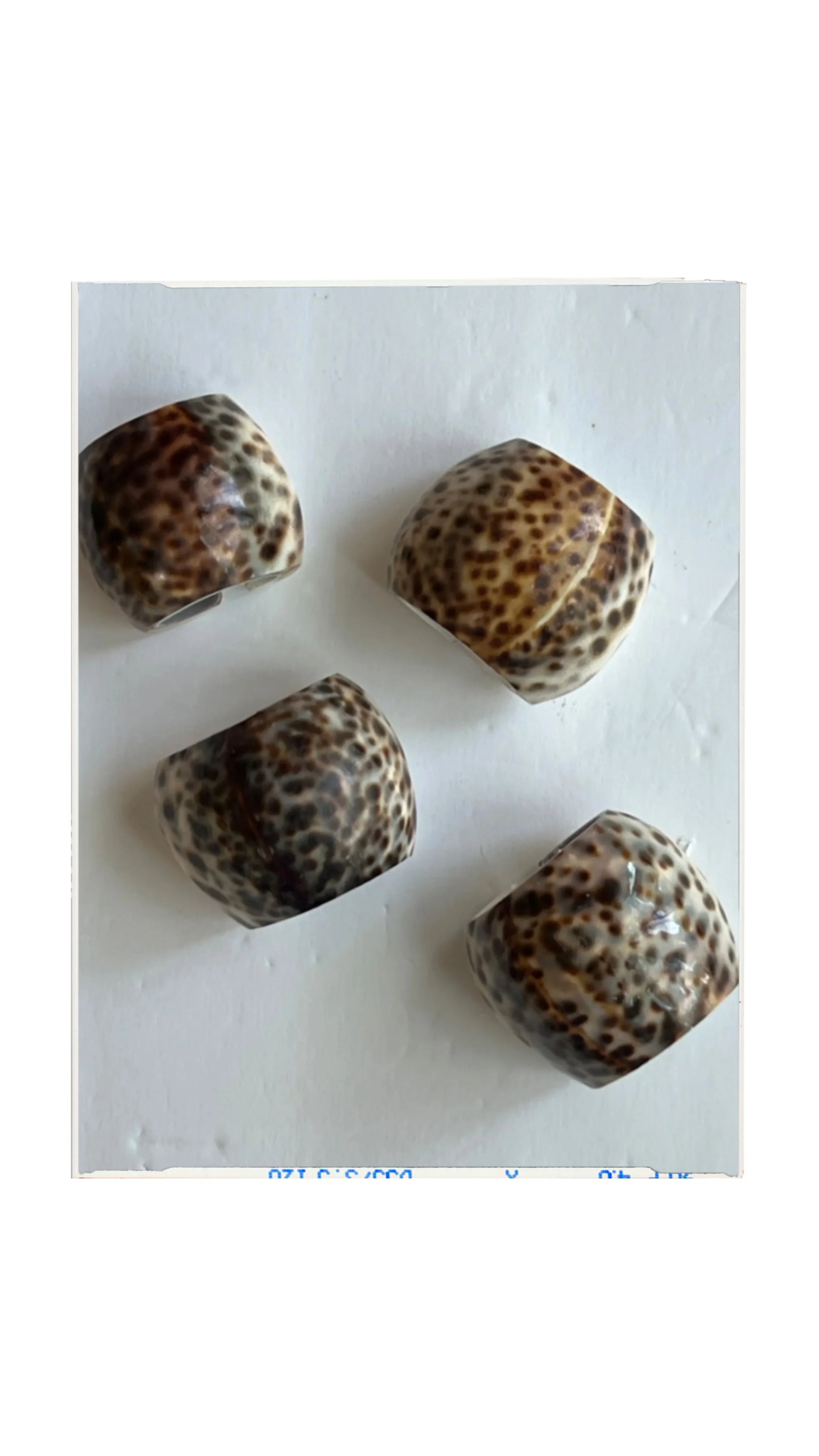 Tiger Cowrie Shell Napkin Rings