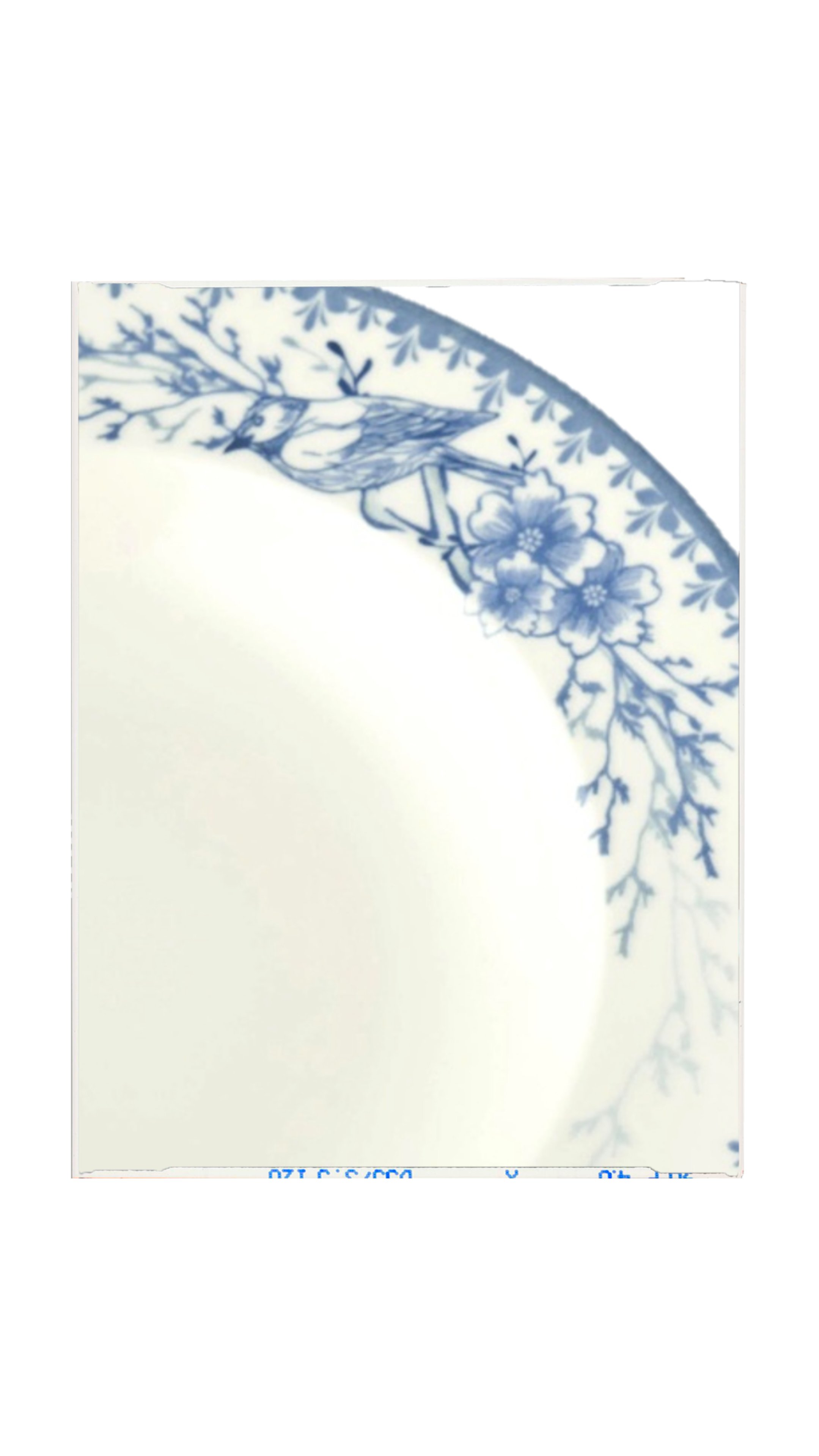 Blue & White Floral Appetizer Bowl